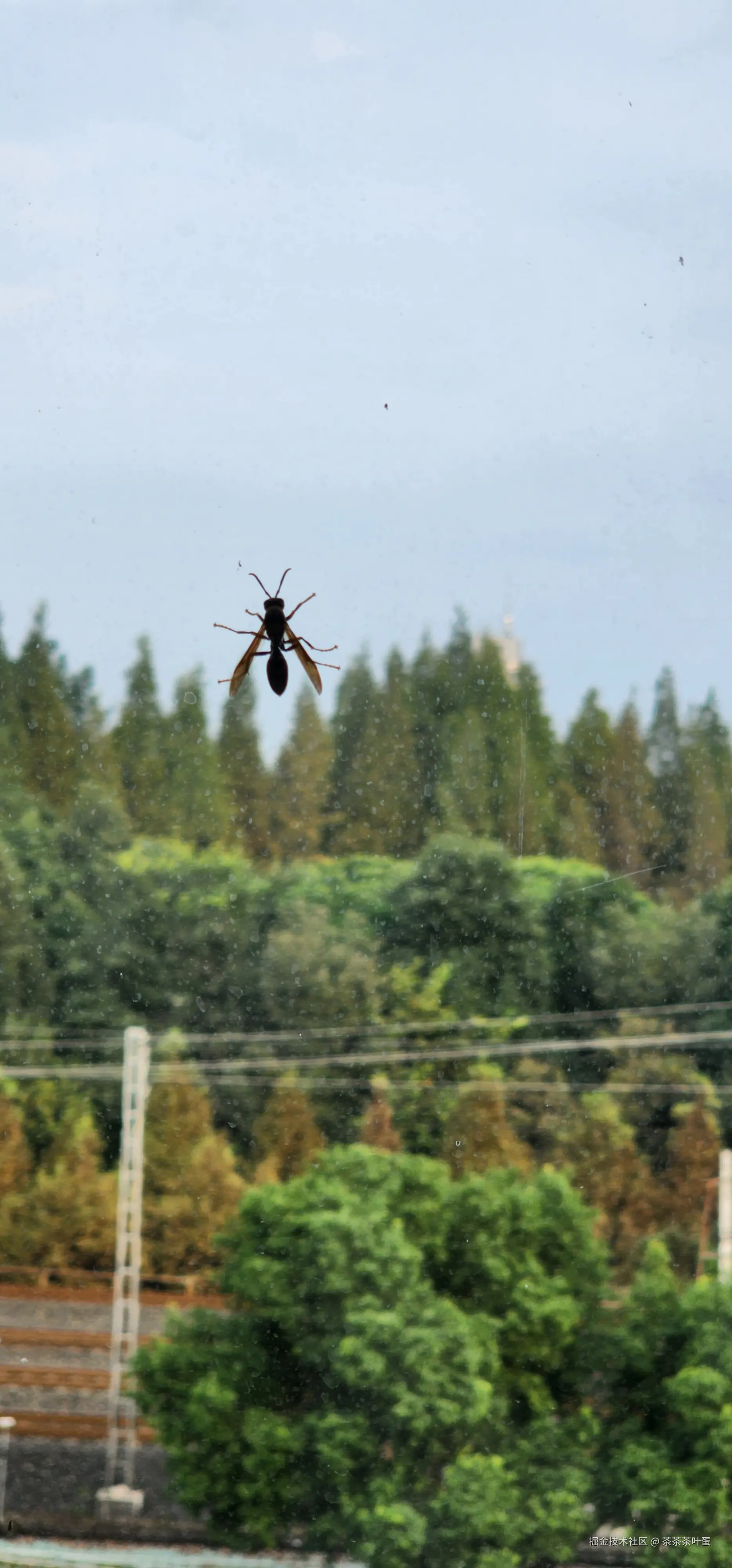 茶茶茶叶蛋于2024-12-18 13:32发布的图片