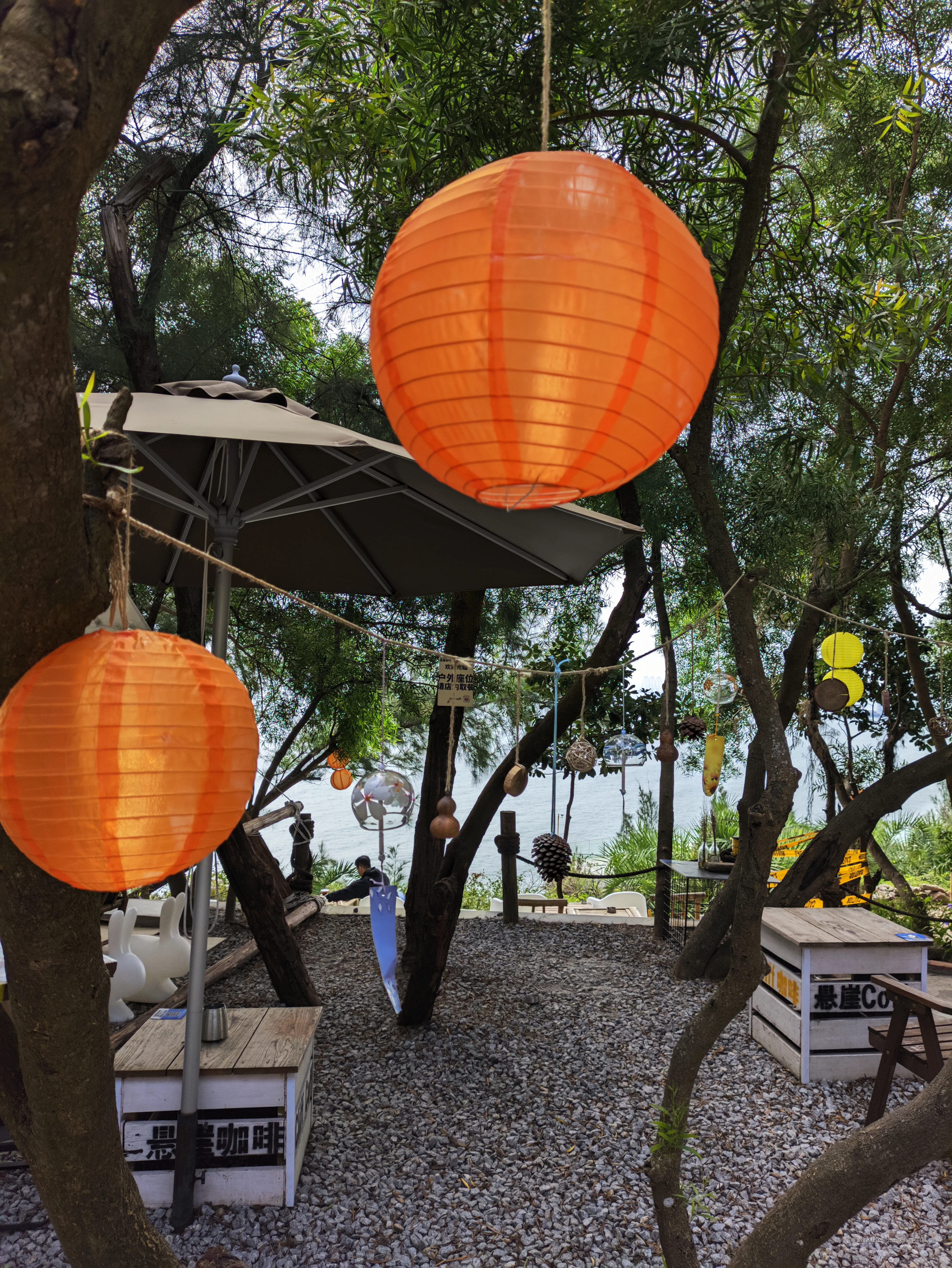 还不快谢谢阿兴哥于2024-11-04 09:27发布的图片