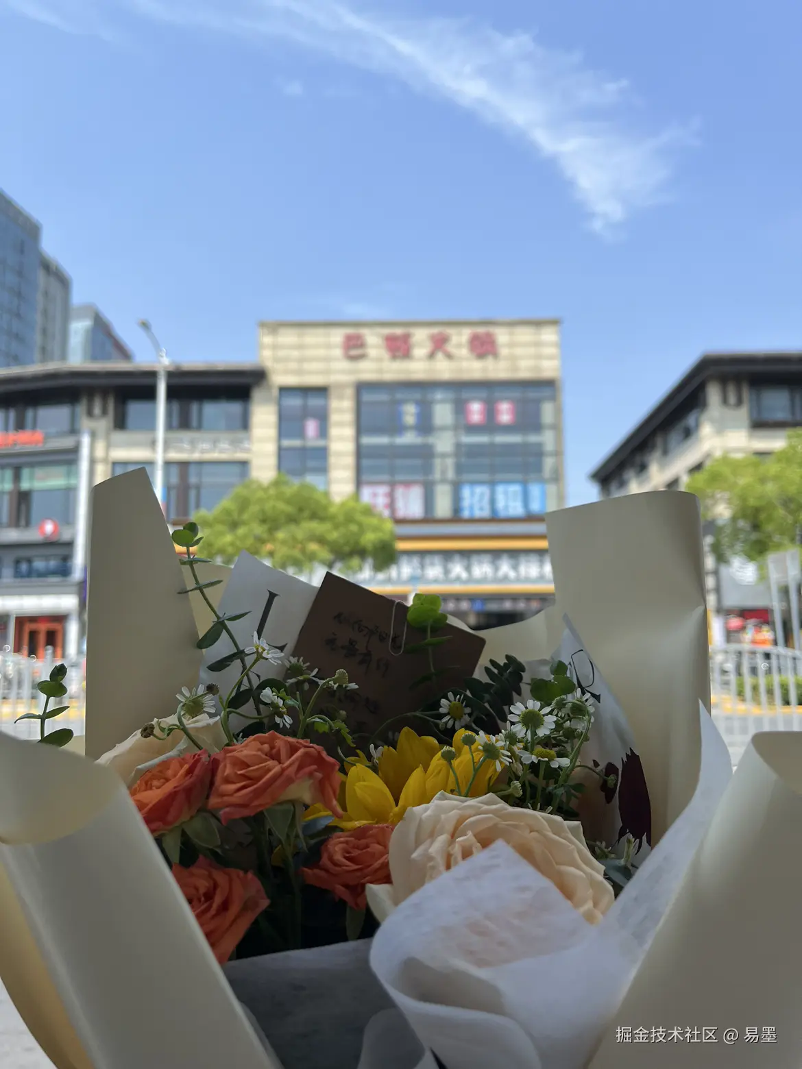 易墨于2024-08-11 07:22发布的图片