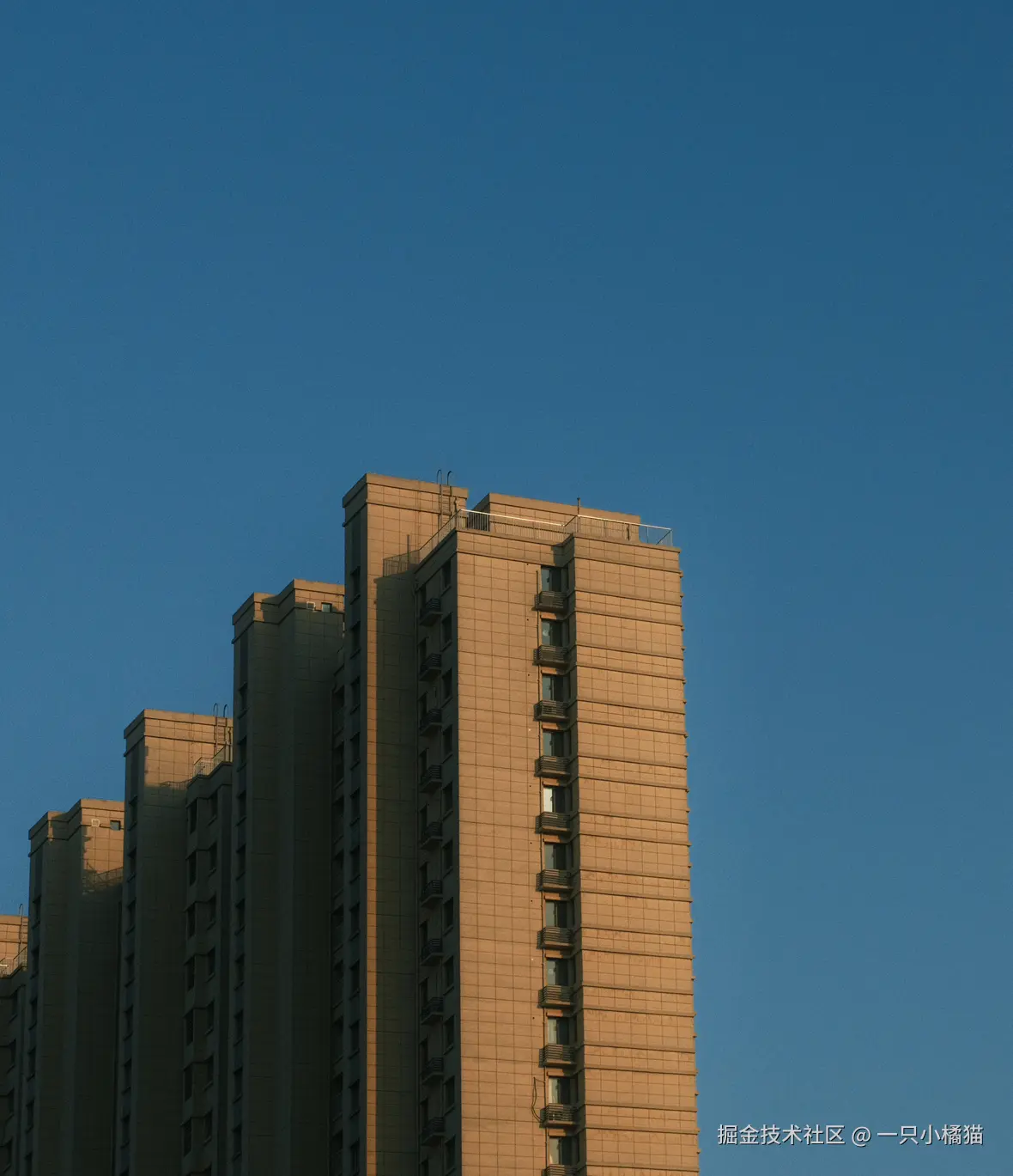 一只小橘猫于2025-10-23 10:00发布的图片