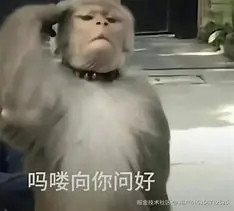 用户416154712625于2025-07-04 17:59发布的图片