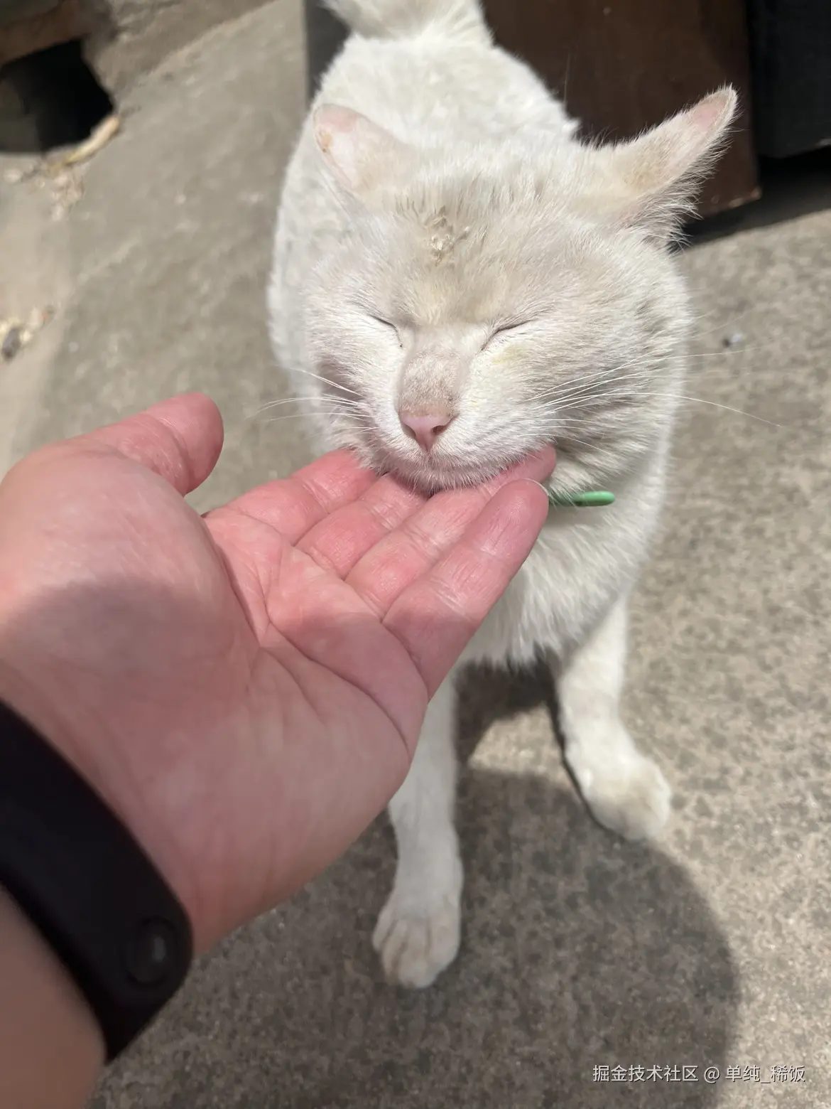 单纯_稀饭于2025-04-25 12:03发布的图片