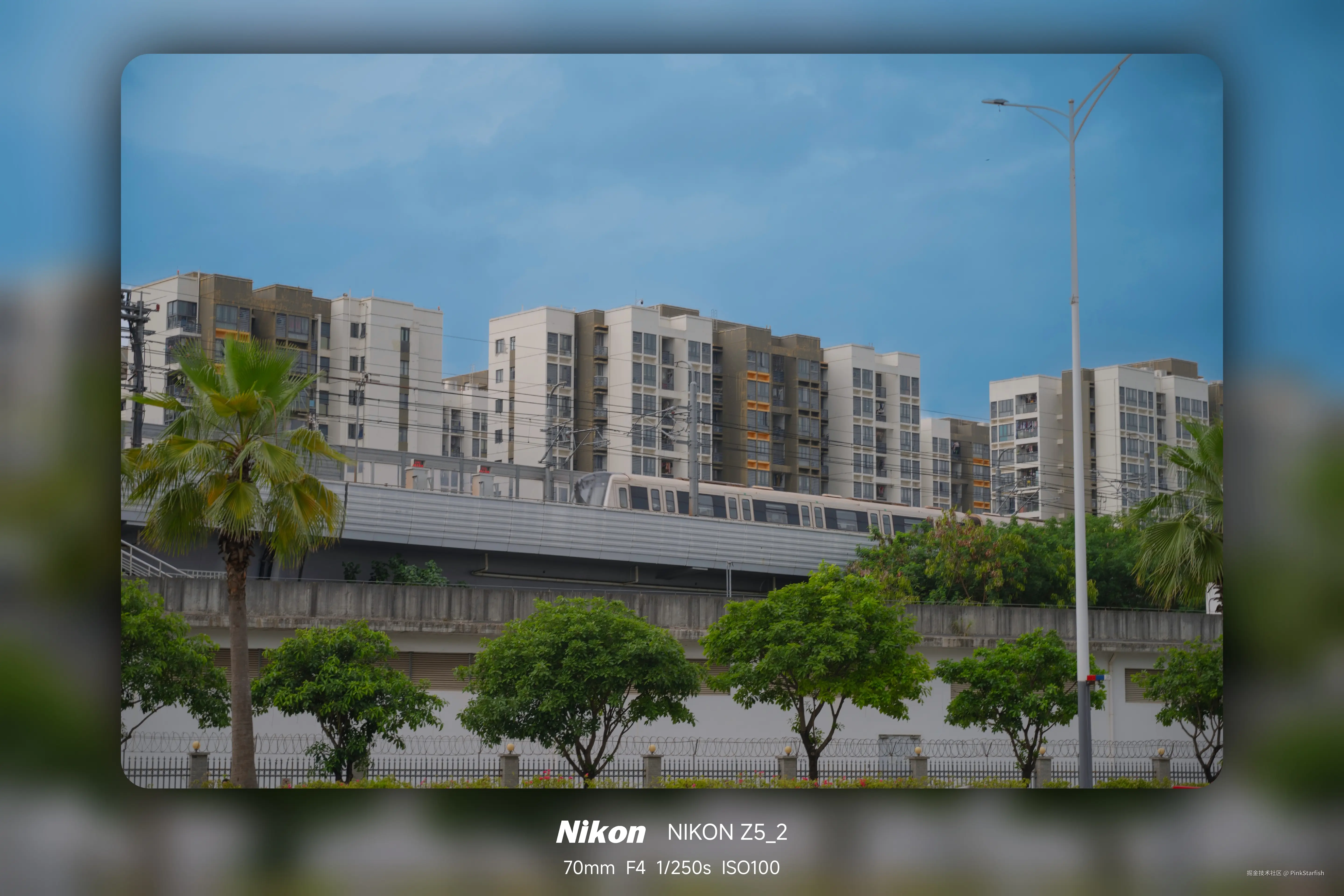 PinkStarfish于2025-06-04 10:37发布的图片