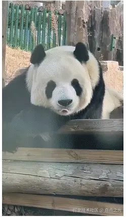 奇点之光于2025-04-18 01:30发布的图片