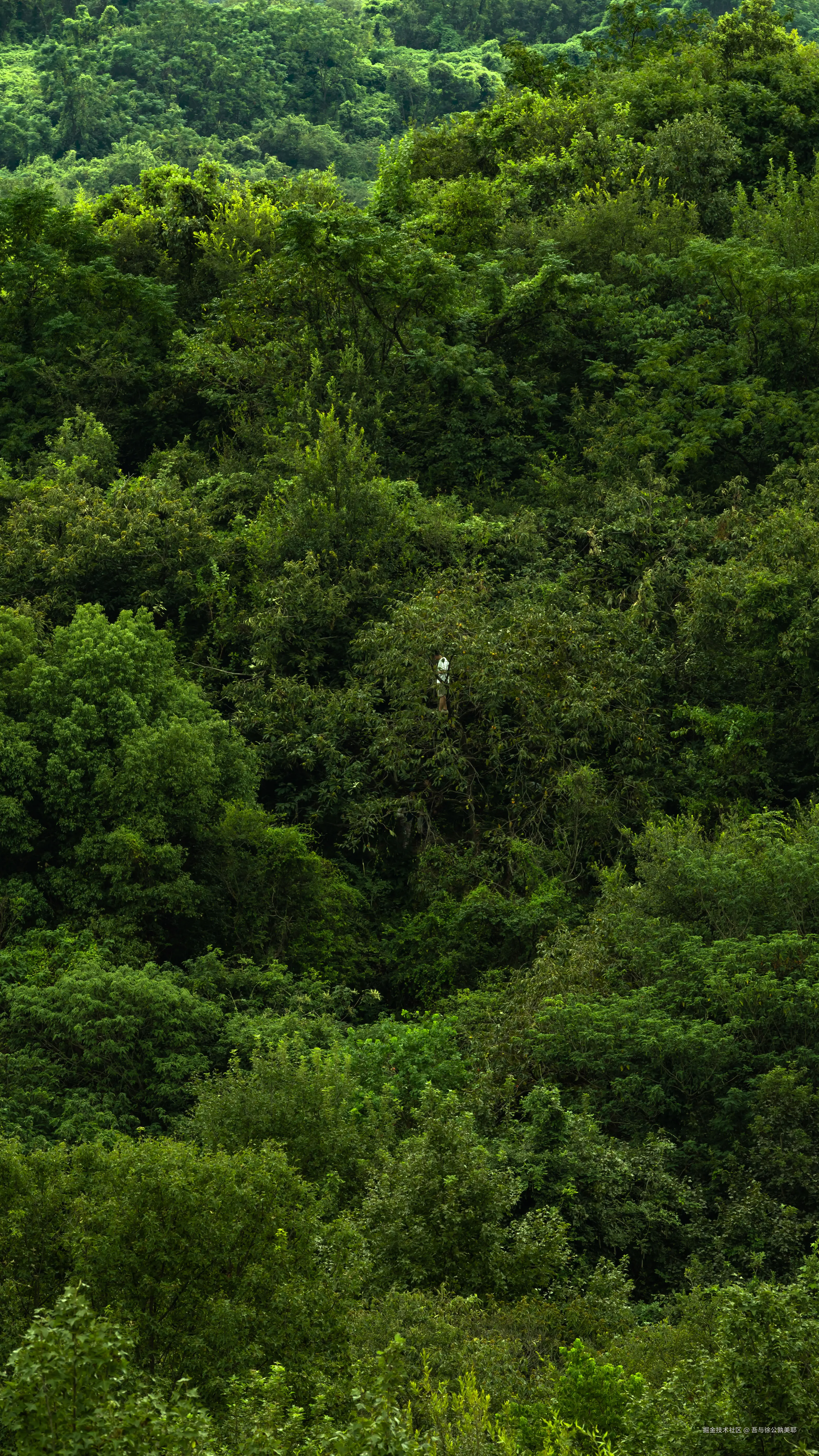 吾与徐公孰美耶于2025-09-15 14:16发布的图片