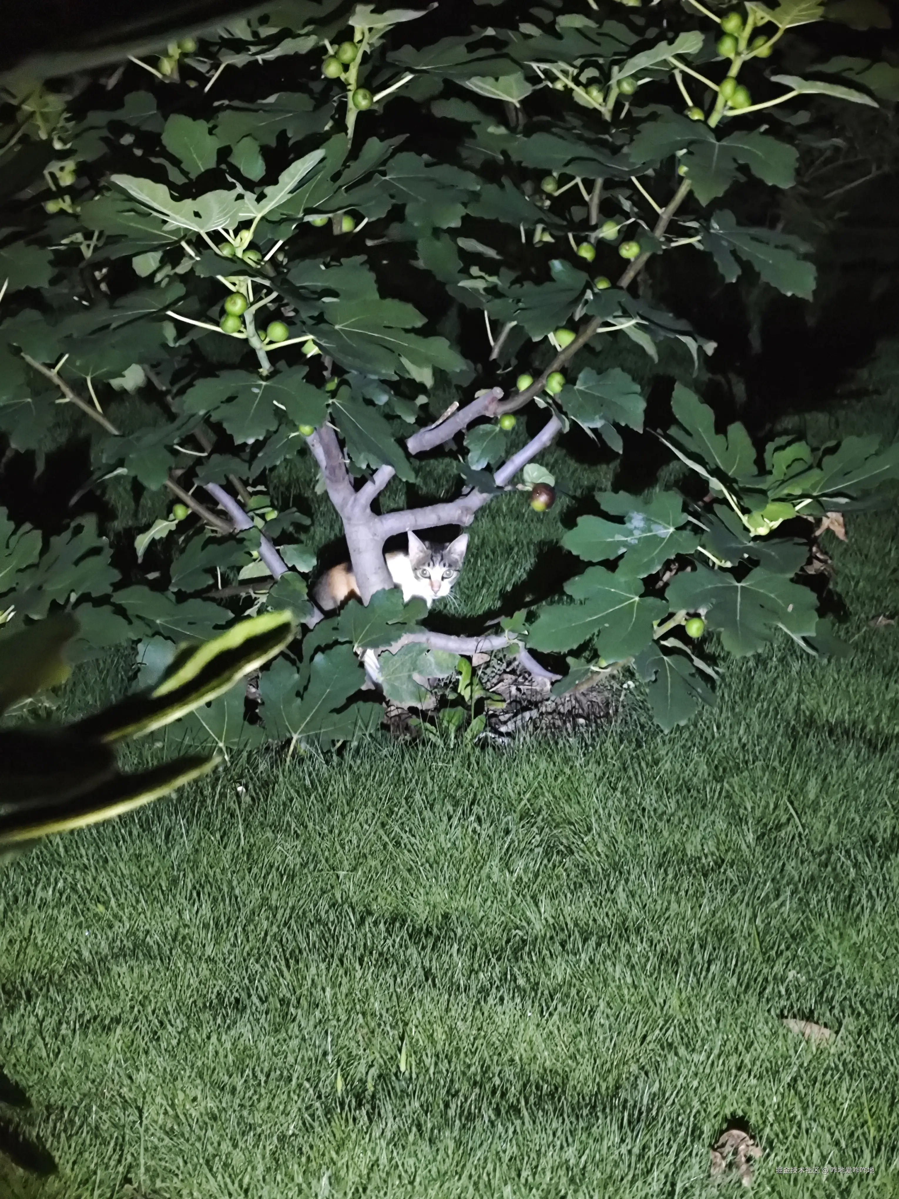 咋地爱咋咋地于2024-07-17 09:33发布的图片