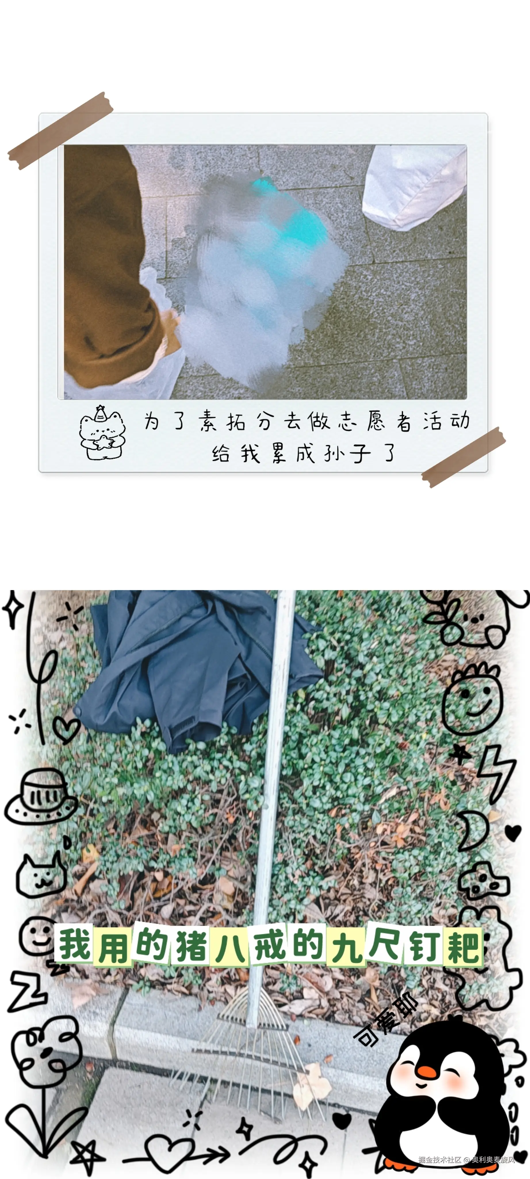 奥利奥麦旋风于2025-03-14 03:48发布的图片