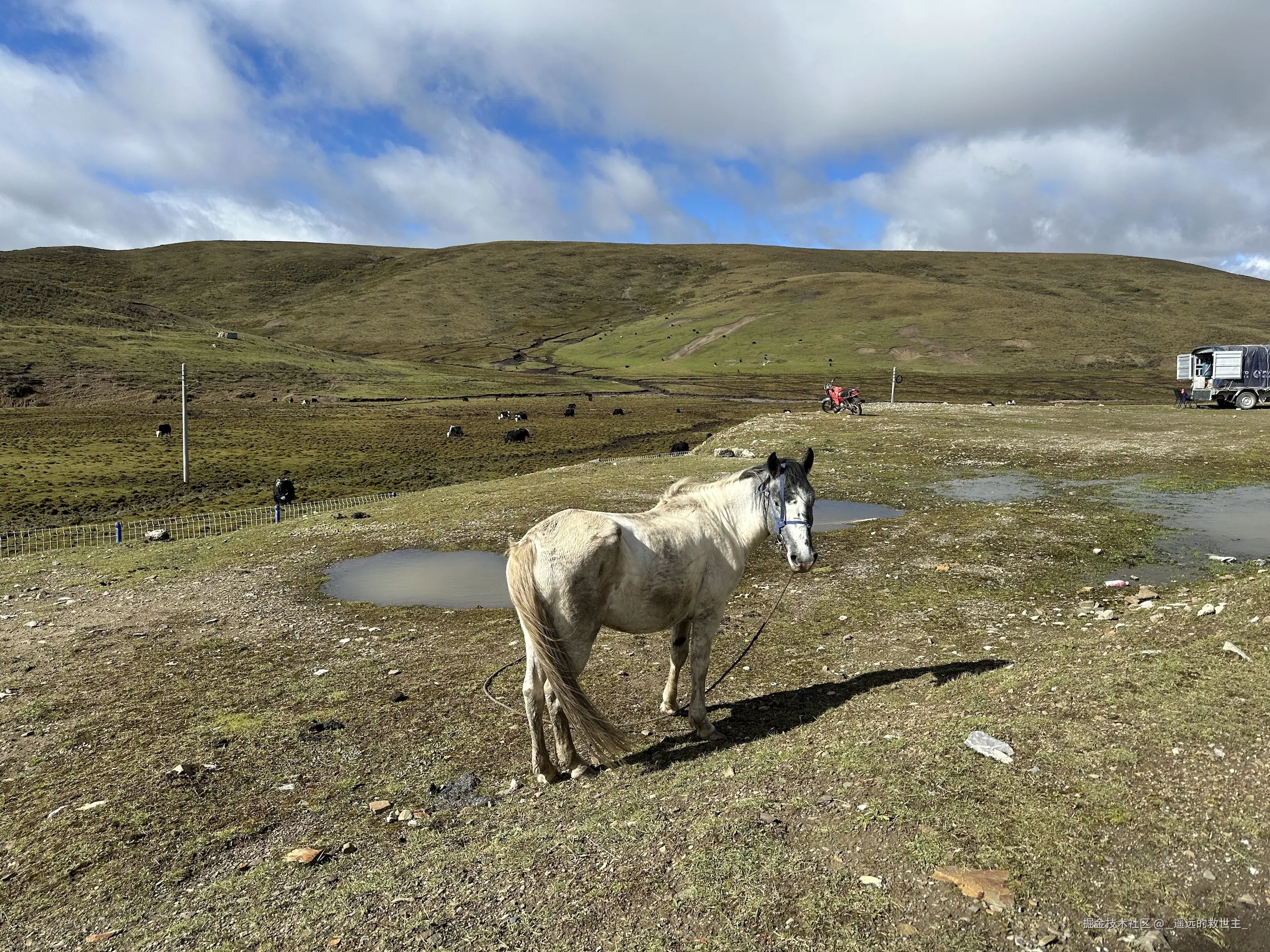 _遥远的救世主_于2025-10-09 16:29发布的图片