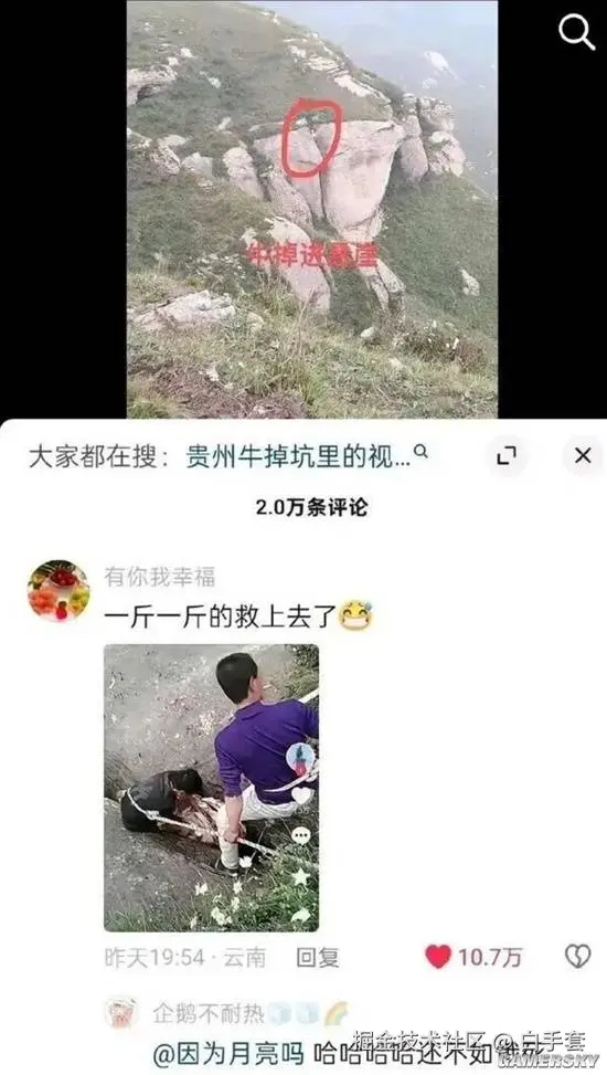 白手套于2025-09-19 02:24发布的图片