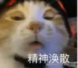 秃头一小白于2025-03-01 14:25发布的图片