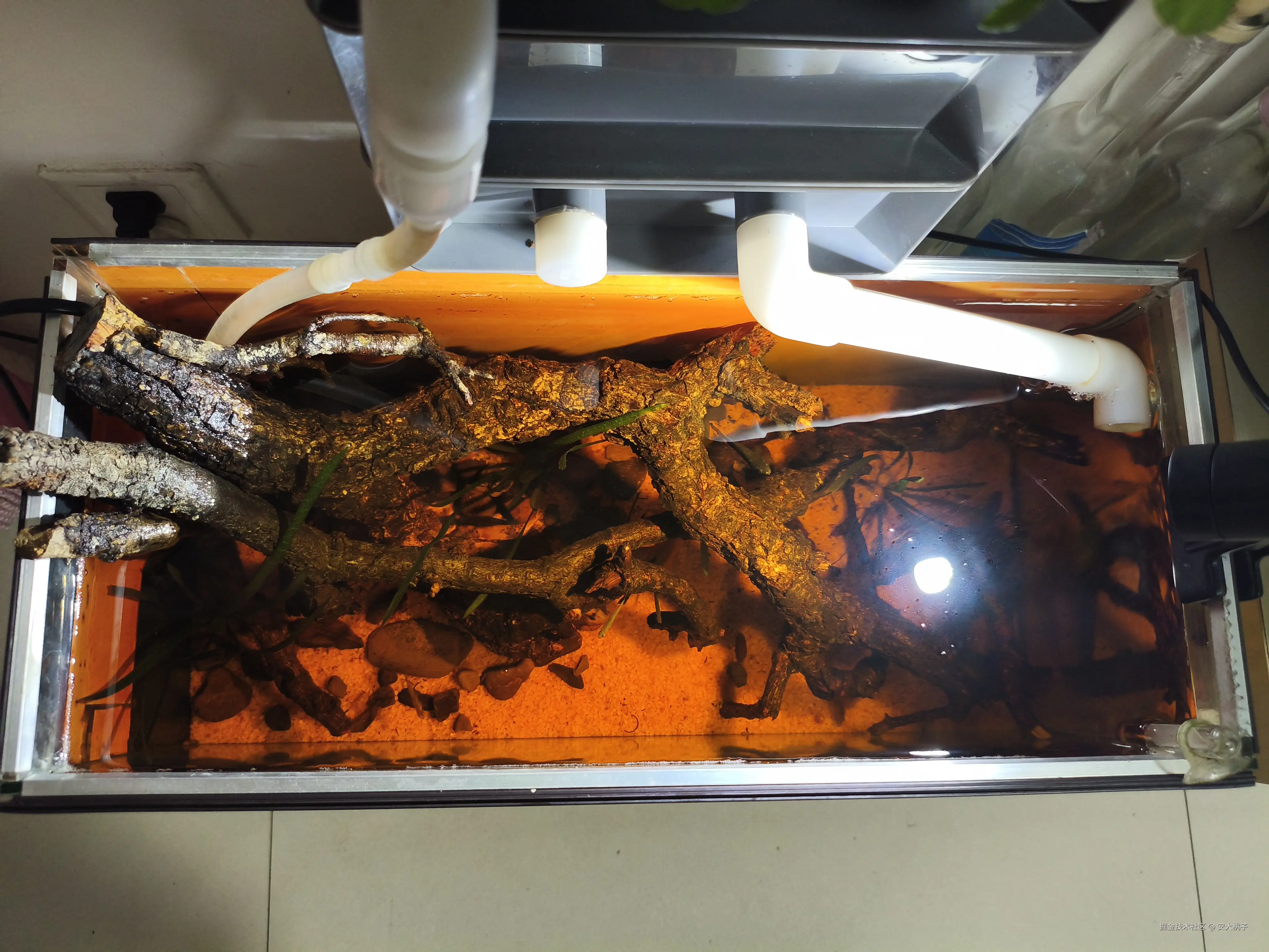 安大桃子于2025-08-28 09:36发布的图片