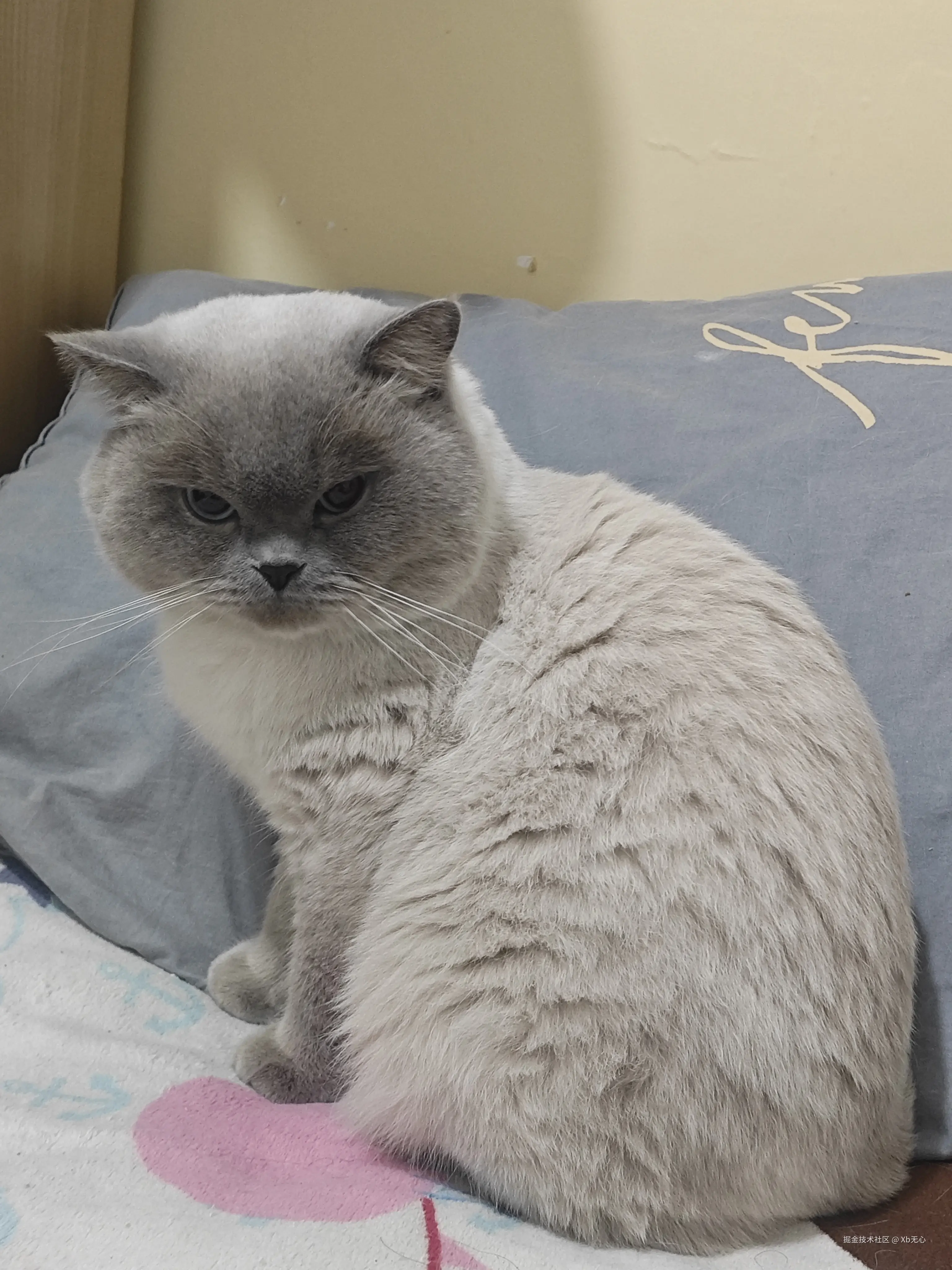 Xb无心于2025-03-03 10:52发布的图片