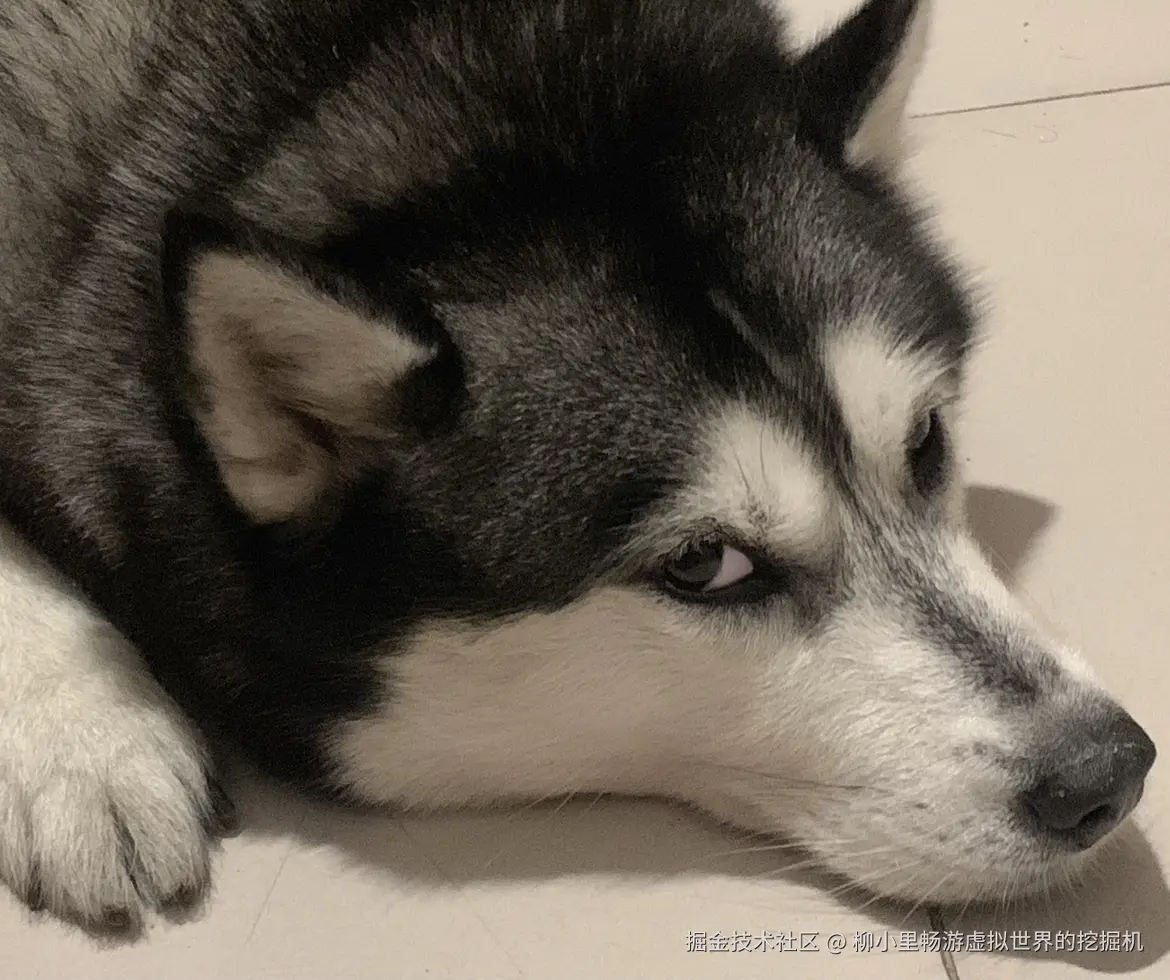 柳小里畅游虚拟世界的挖掘机于2025-11-27 02:58发布的图片