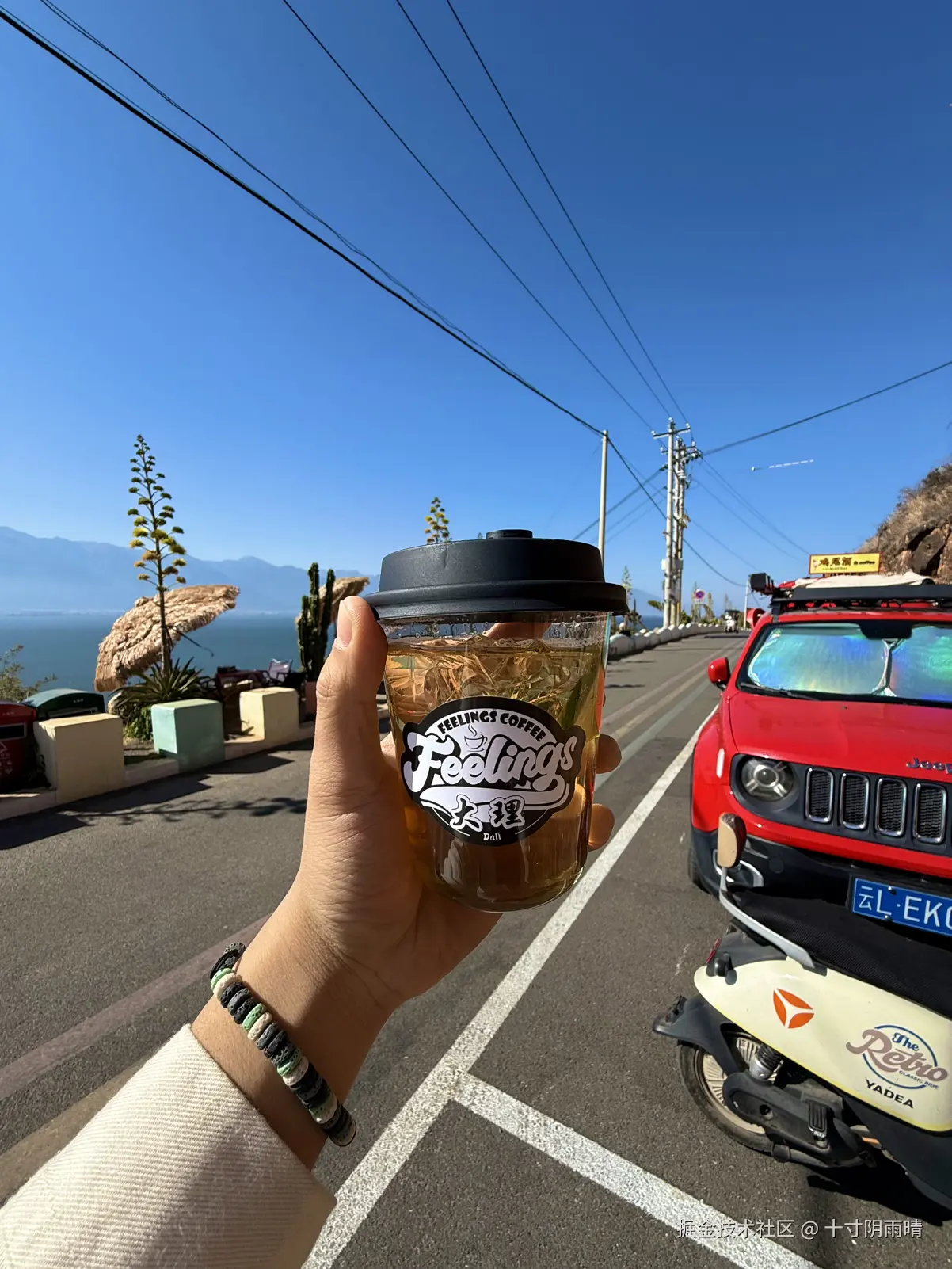 十寸阴雨晴于2026-01-26 14:57发布的图片