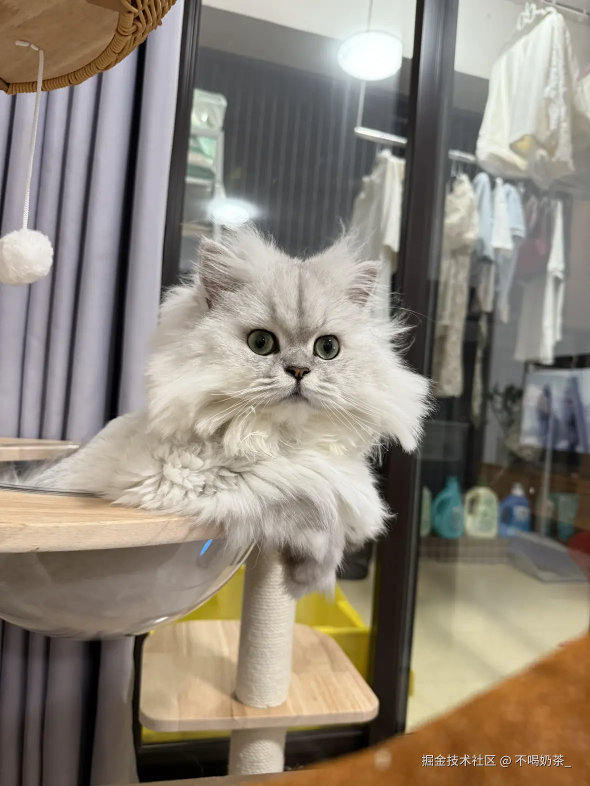 不喝奶茶_于2025-07-14 06:13发布的图片