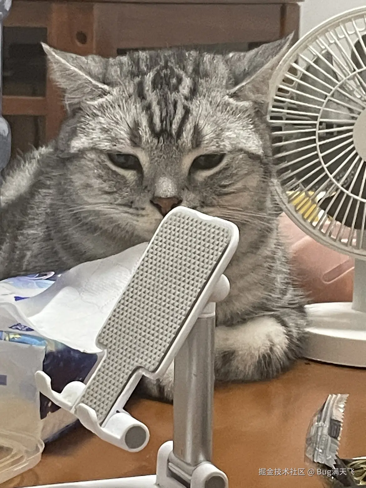 Bug满天飞于2024-09-14 15:28发布的图片