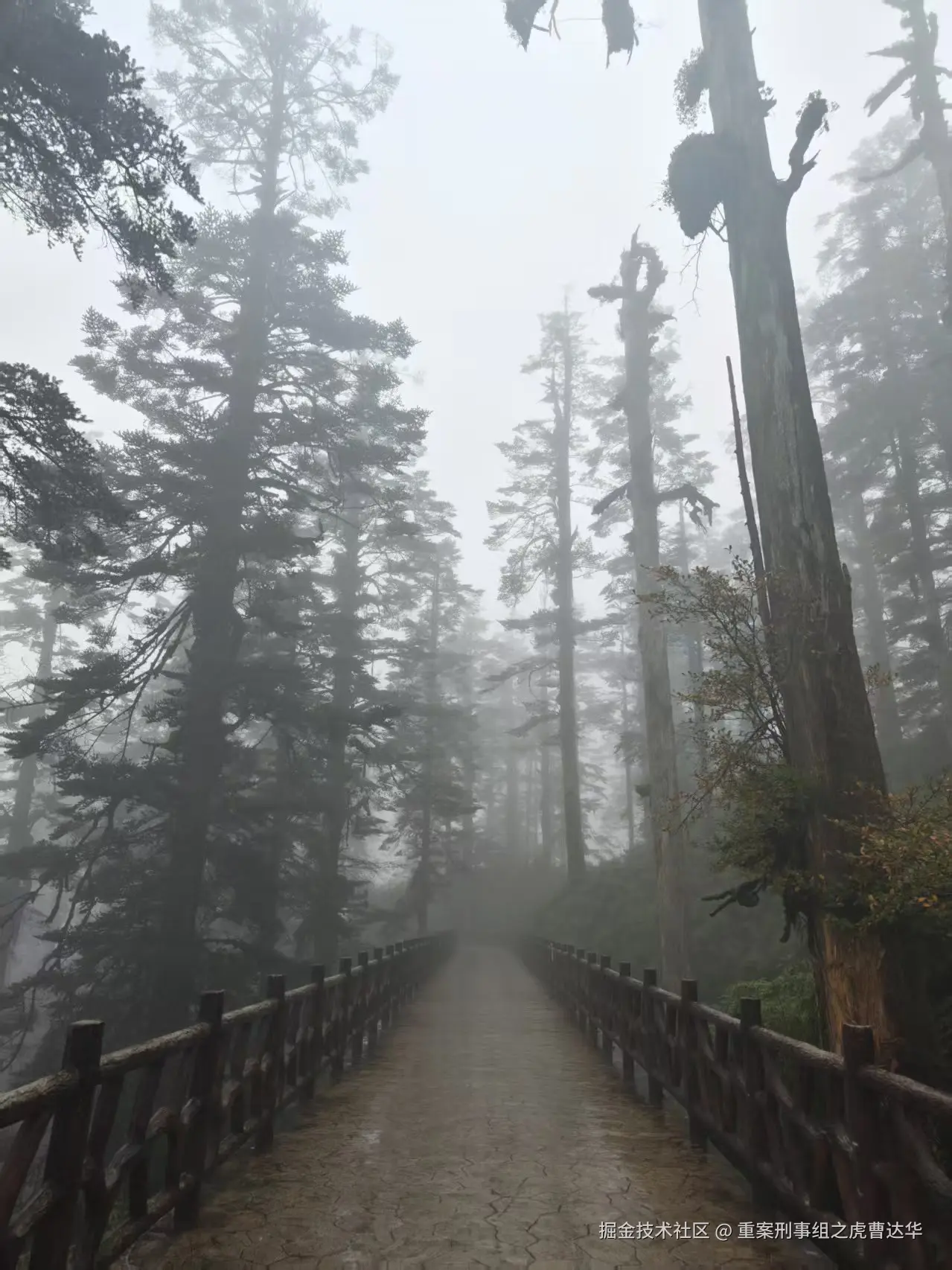 重案刑事组之虎曹达华于2025-12-09 10:01发布的图片