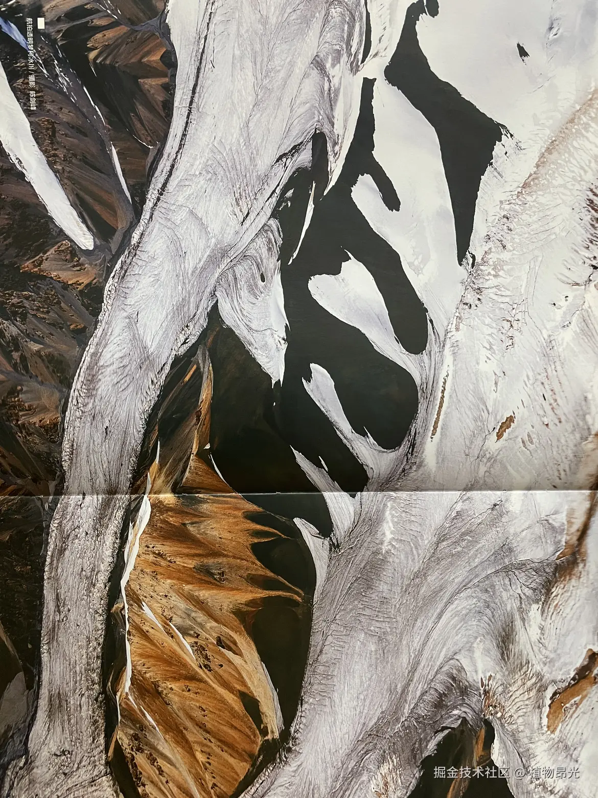 植物昂光于2026-03-25 20:30发布的图片