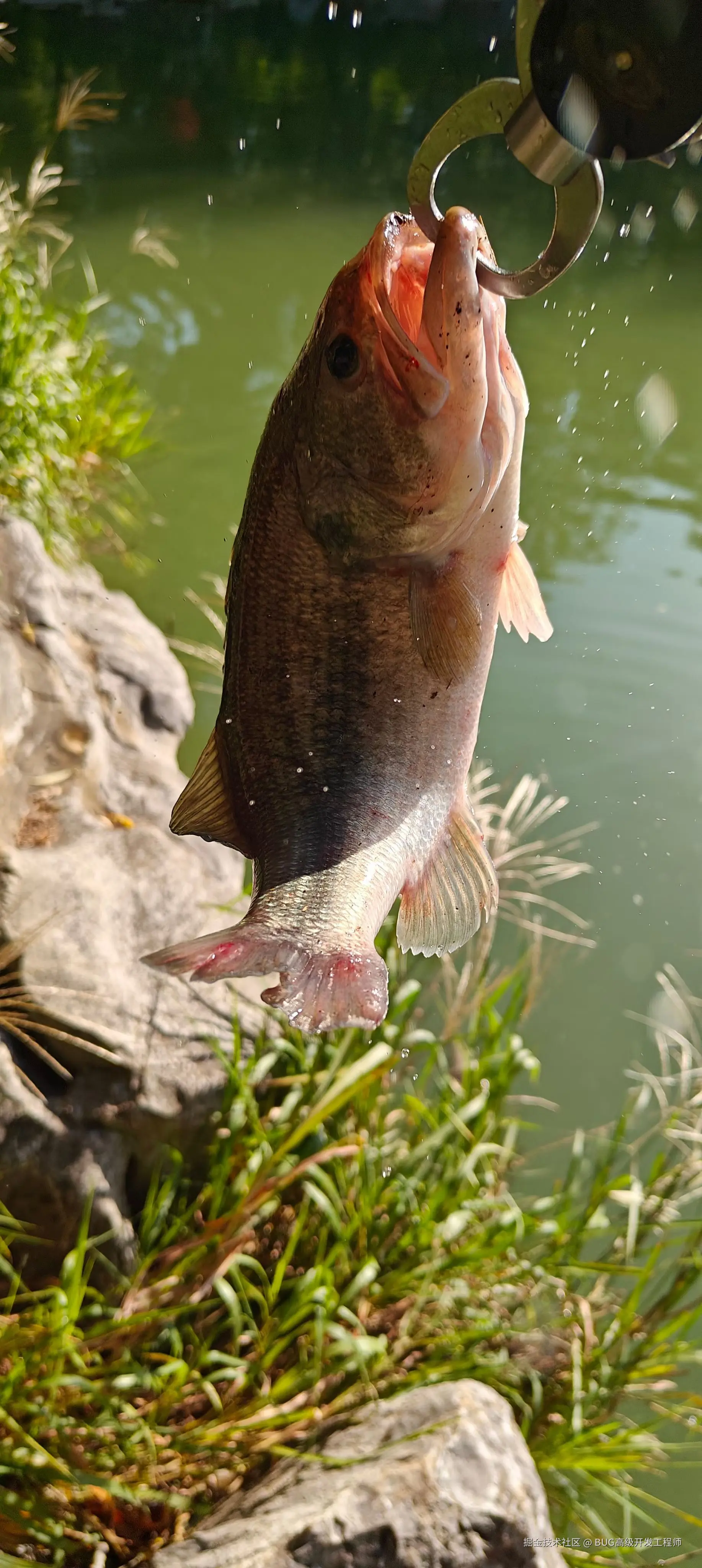 BUG高级开发工程师于2025-07-18 11:33发布的图片