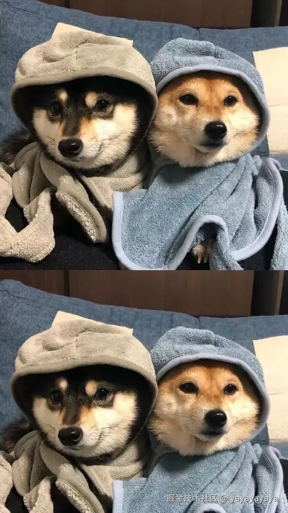 yayayayaya于2025-01-26 09:32发布的图片