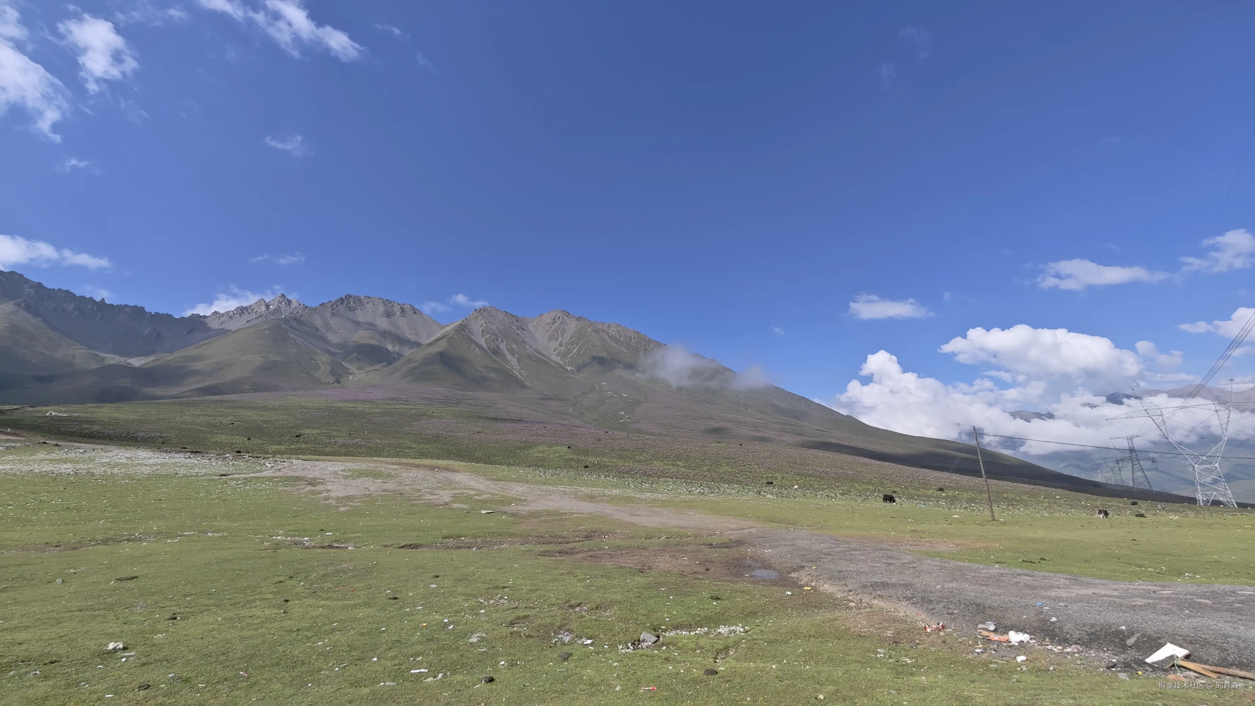 刑育森于2025-06-25 14:51发布的图片