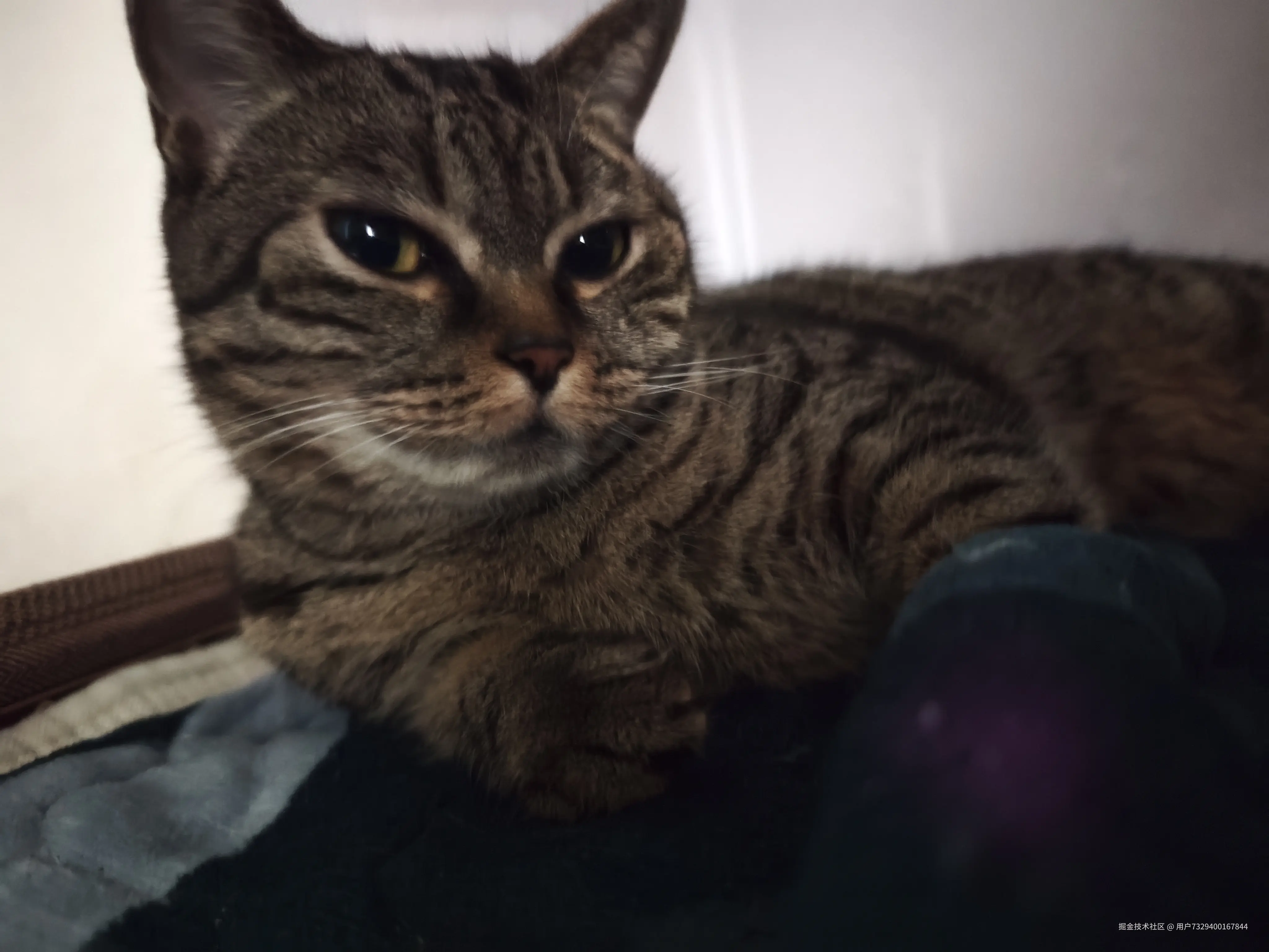 用户7329400167844于2025-10-30 10:15发布的图片