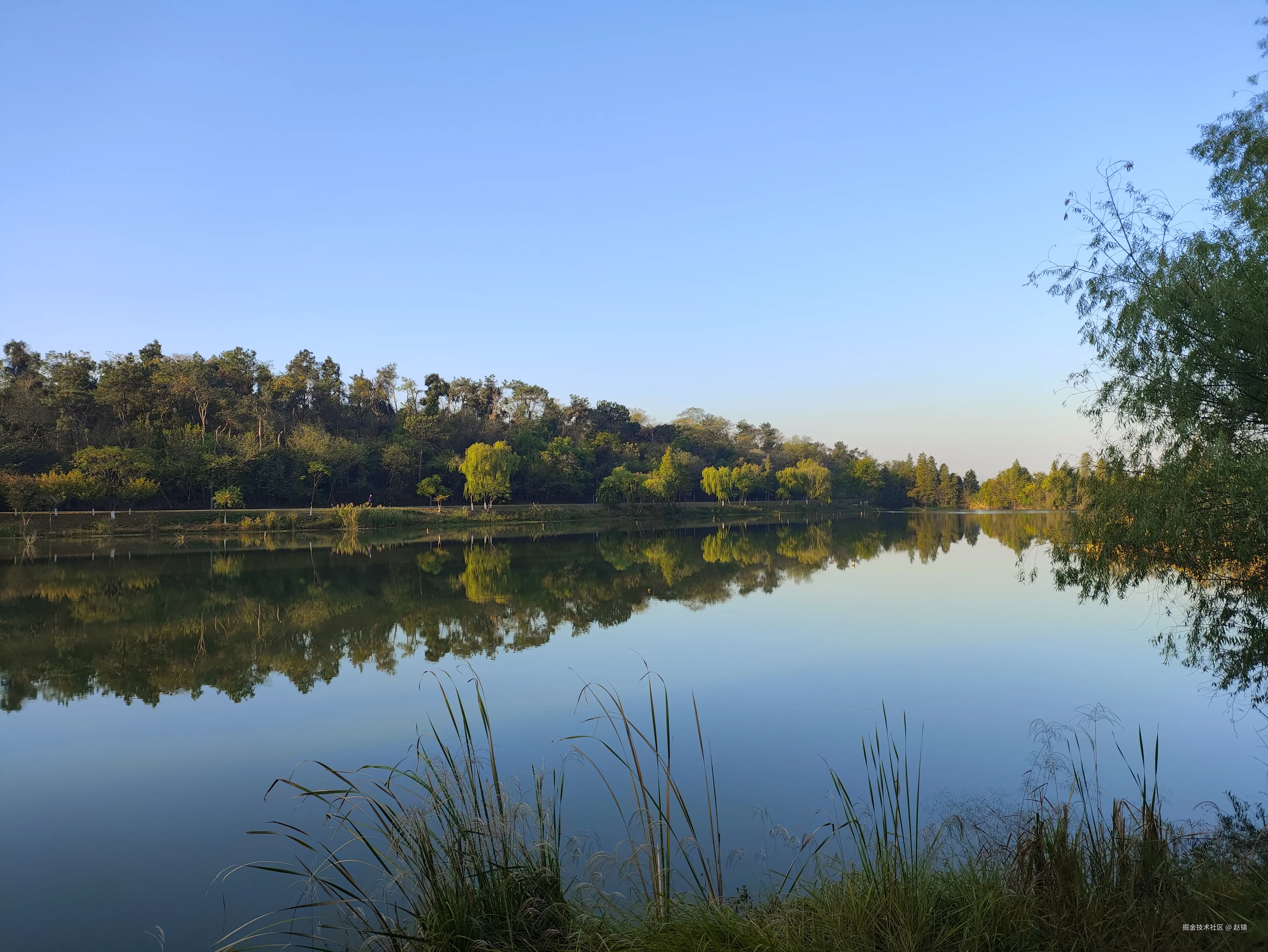 赵镇于2024-10-25 10:03发布的图片