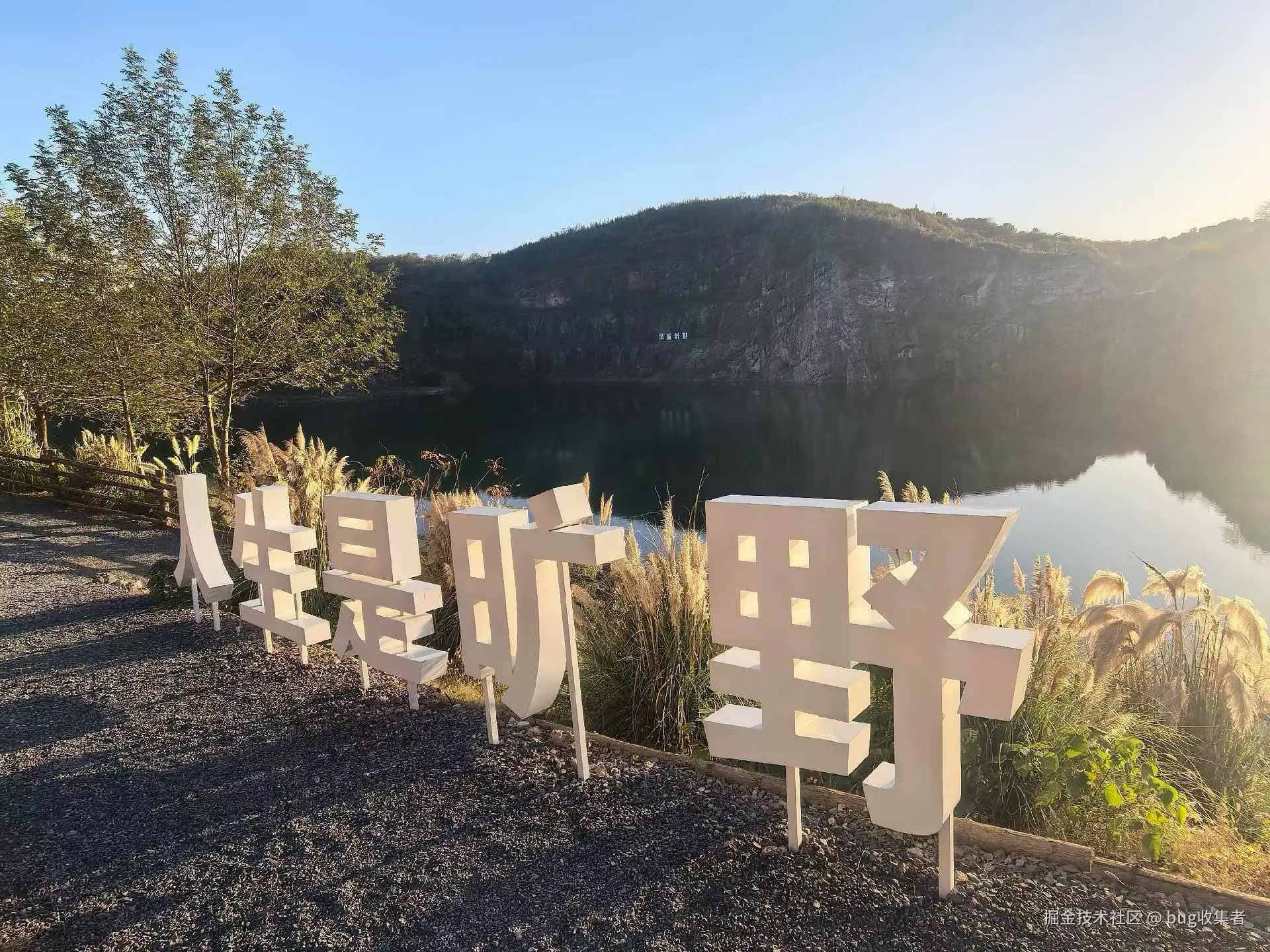 bug收集者于2025-12-01 11:25发布的图片