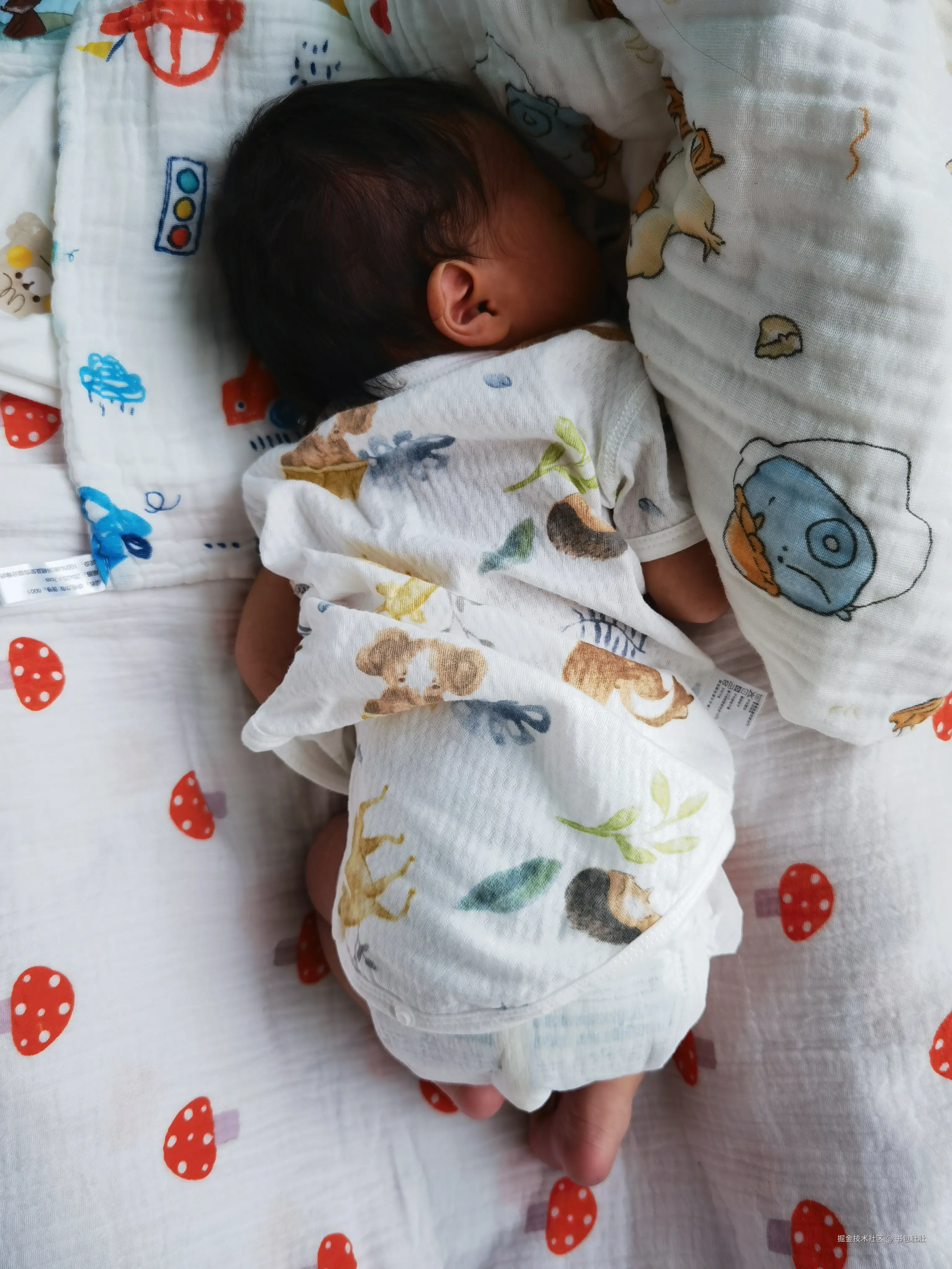 书包肚肚于2024-10-21 18:54发布的图片