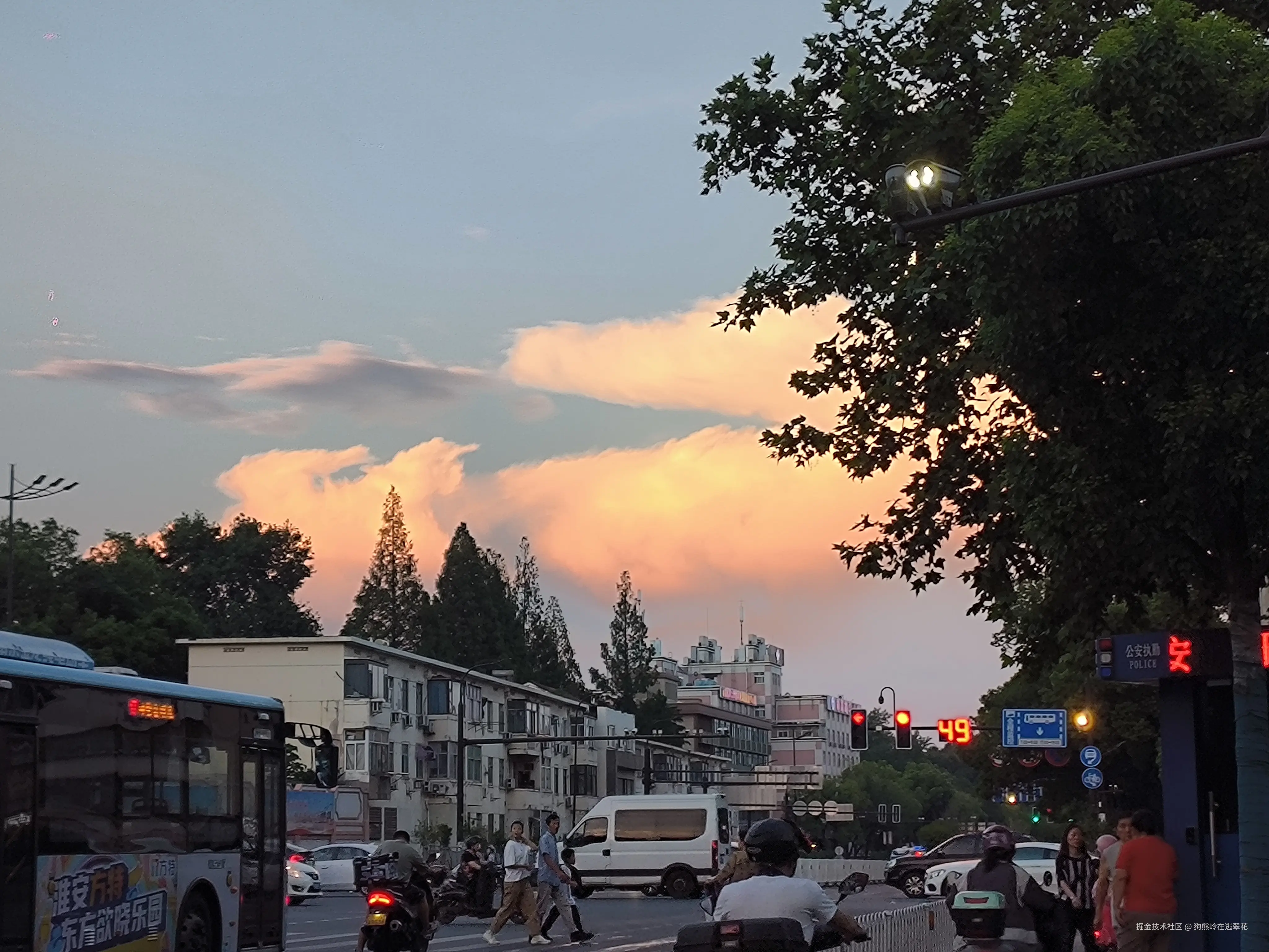 狗熊岭在逃翠花于2024-07-24 10:50发布的图片