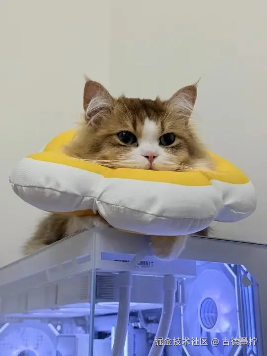 古德墨柠于2026-03-23 14:29发布的图片