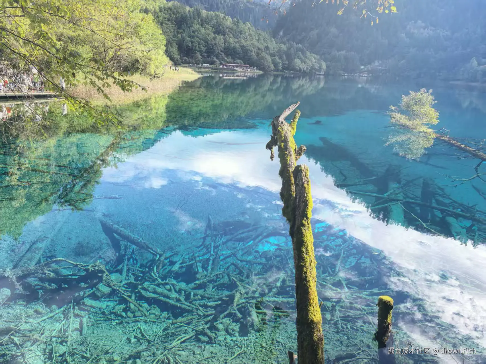 drownFish于2025-10-09 09:42发布的图片