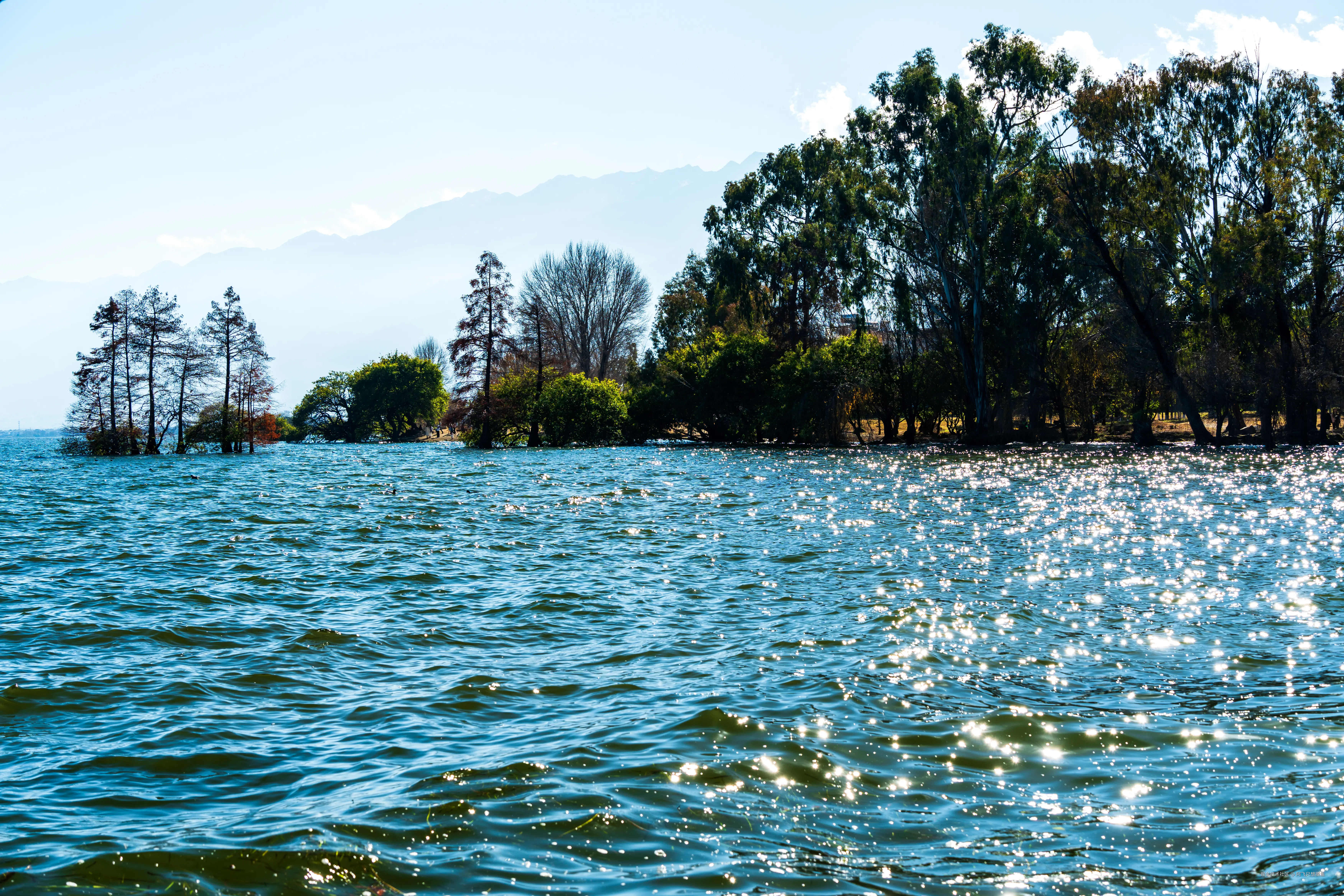 阿飞只想摸鱼于2026-02-11 14:40发布的图片