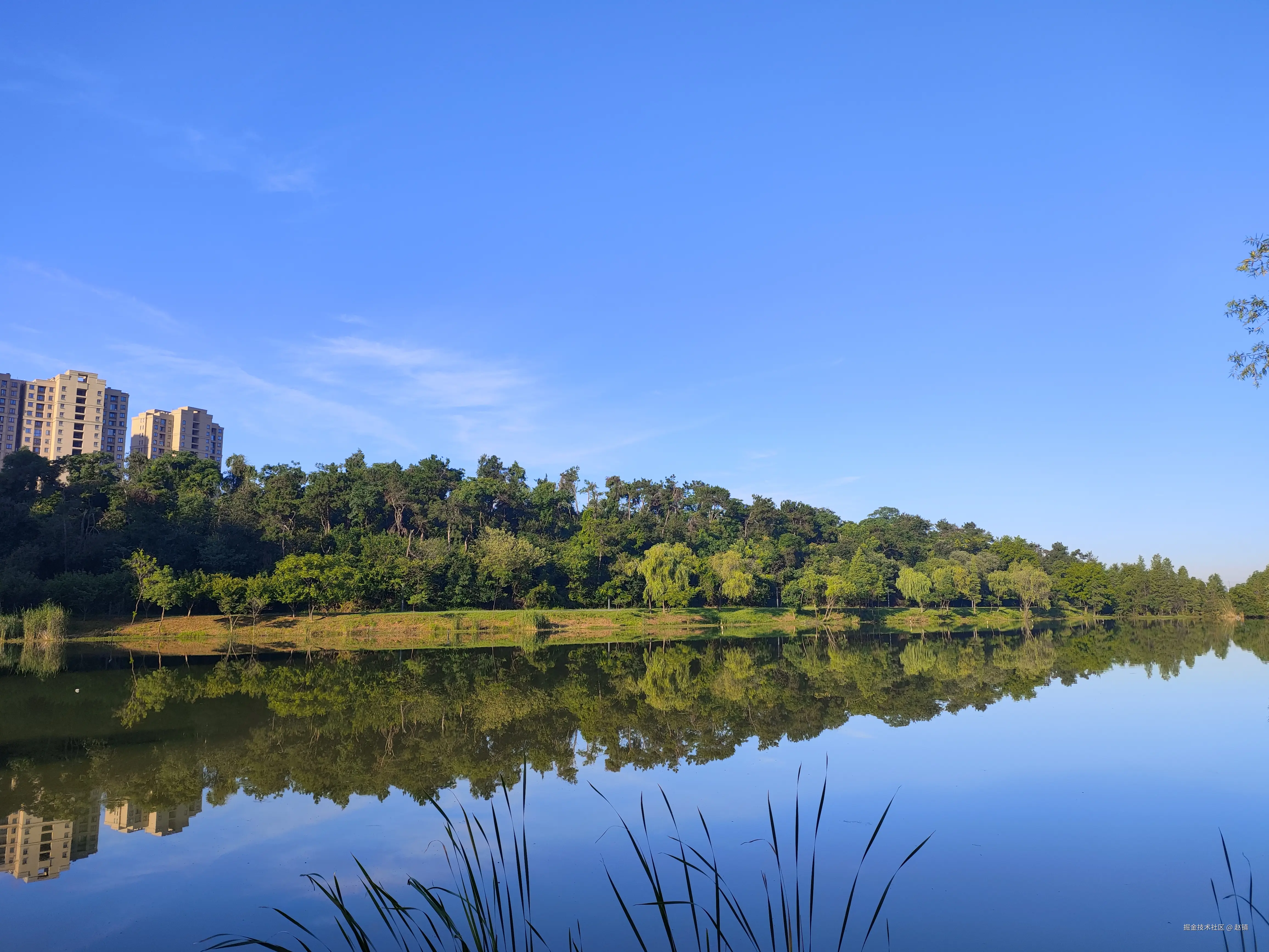 赵镇于2024-07-22 17:41发布的图片