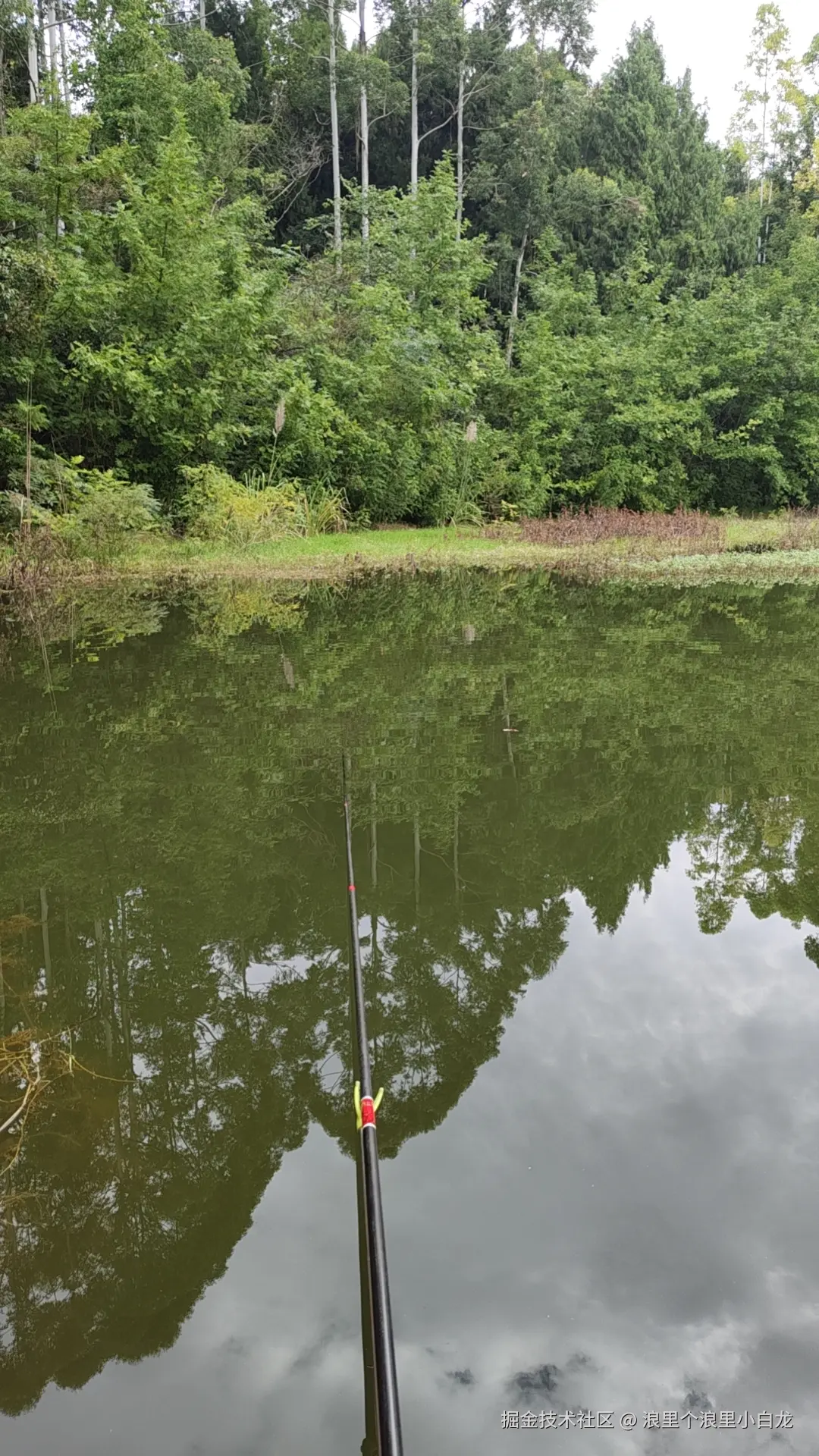 浪里个浪里小白龙于2025-11-06 16:41发布的图片