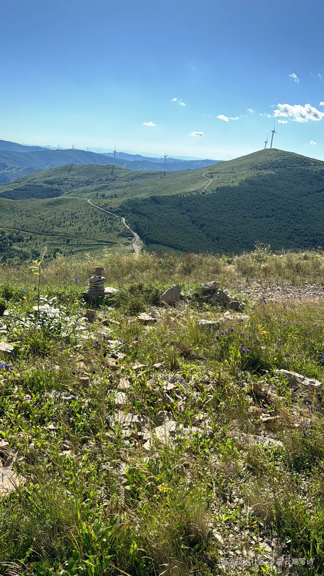 在云端写诗于2025-08-11 14:34发布的图片