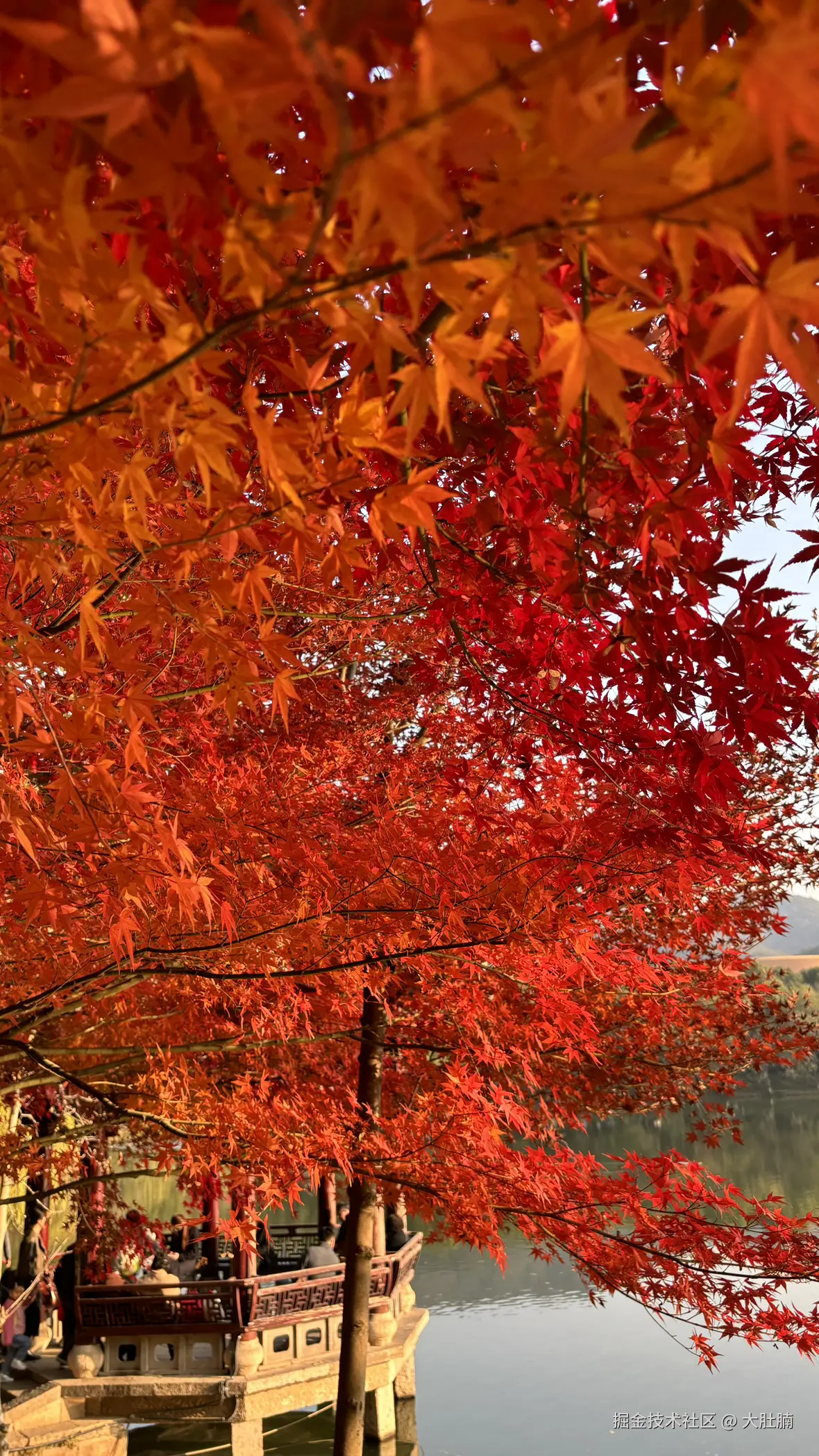 大肚腩于2025-12-08 09:23发布的图片