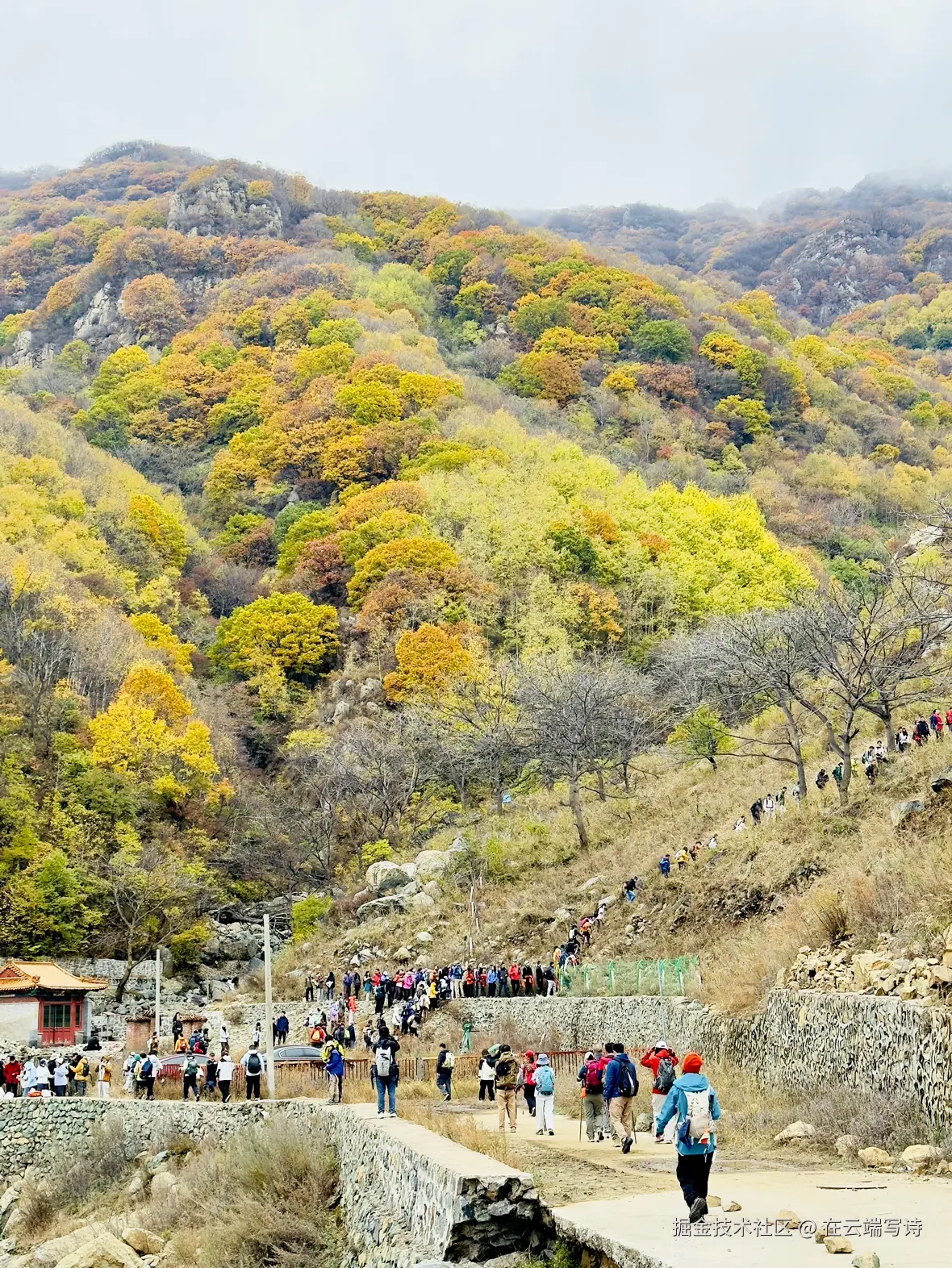 在云端写诗于2025-10-20 10:47发布的图片