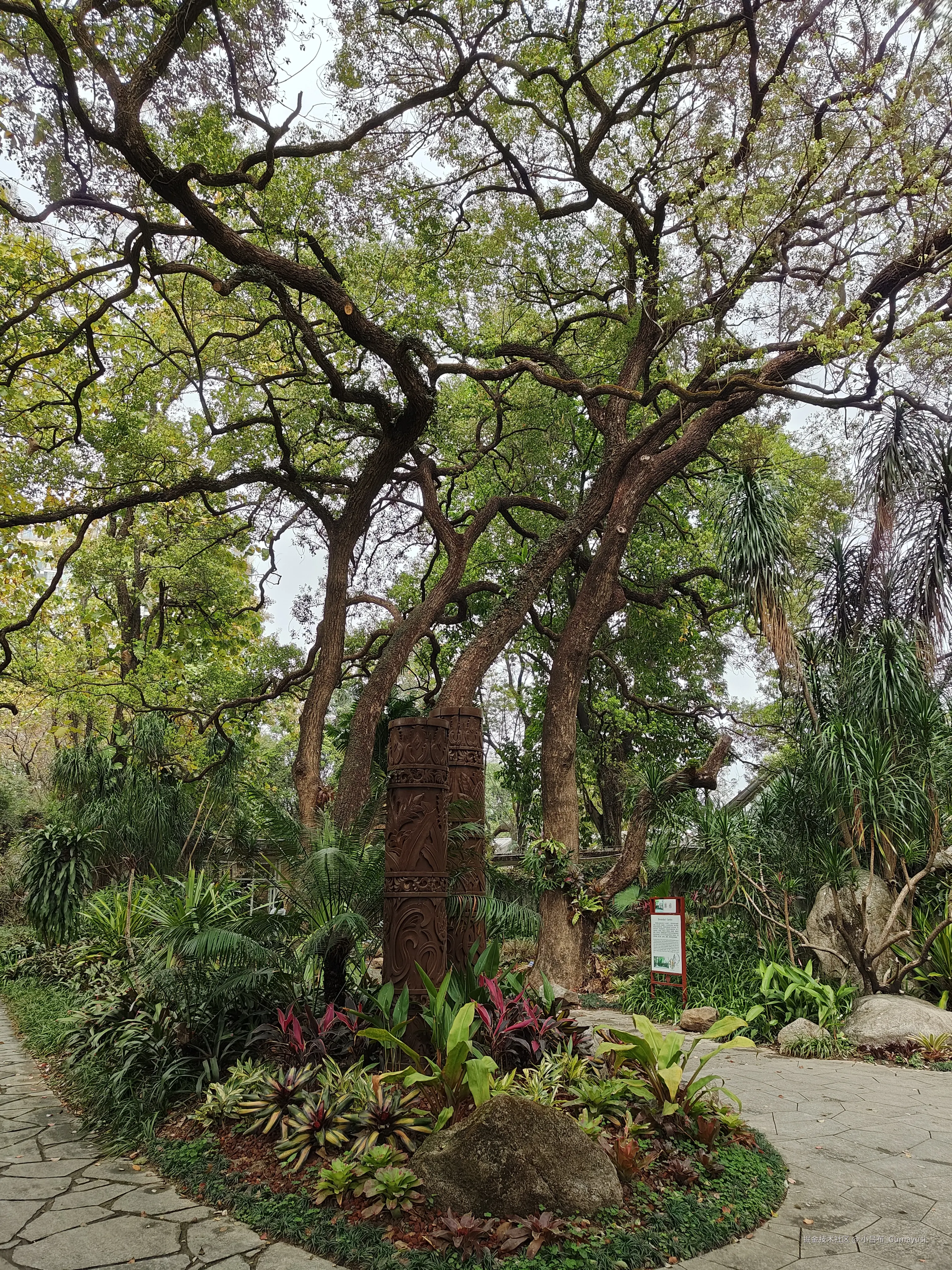 小吕布_Gumayusi于2025-03-10 09:53发布的图片