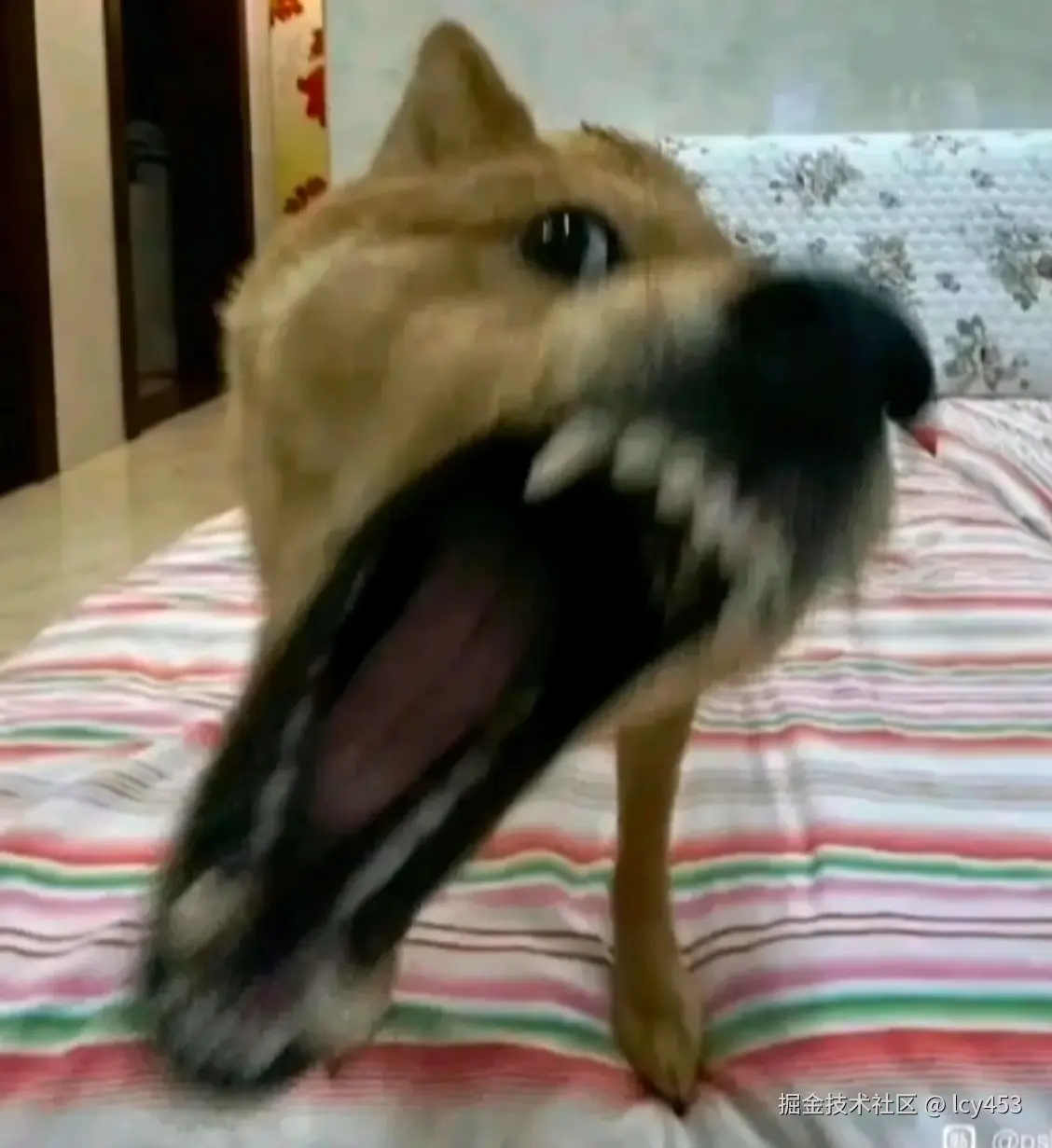 lcy453于2026-03-06 09:28发布的图片