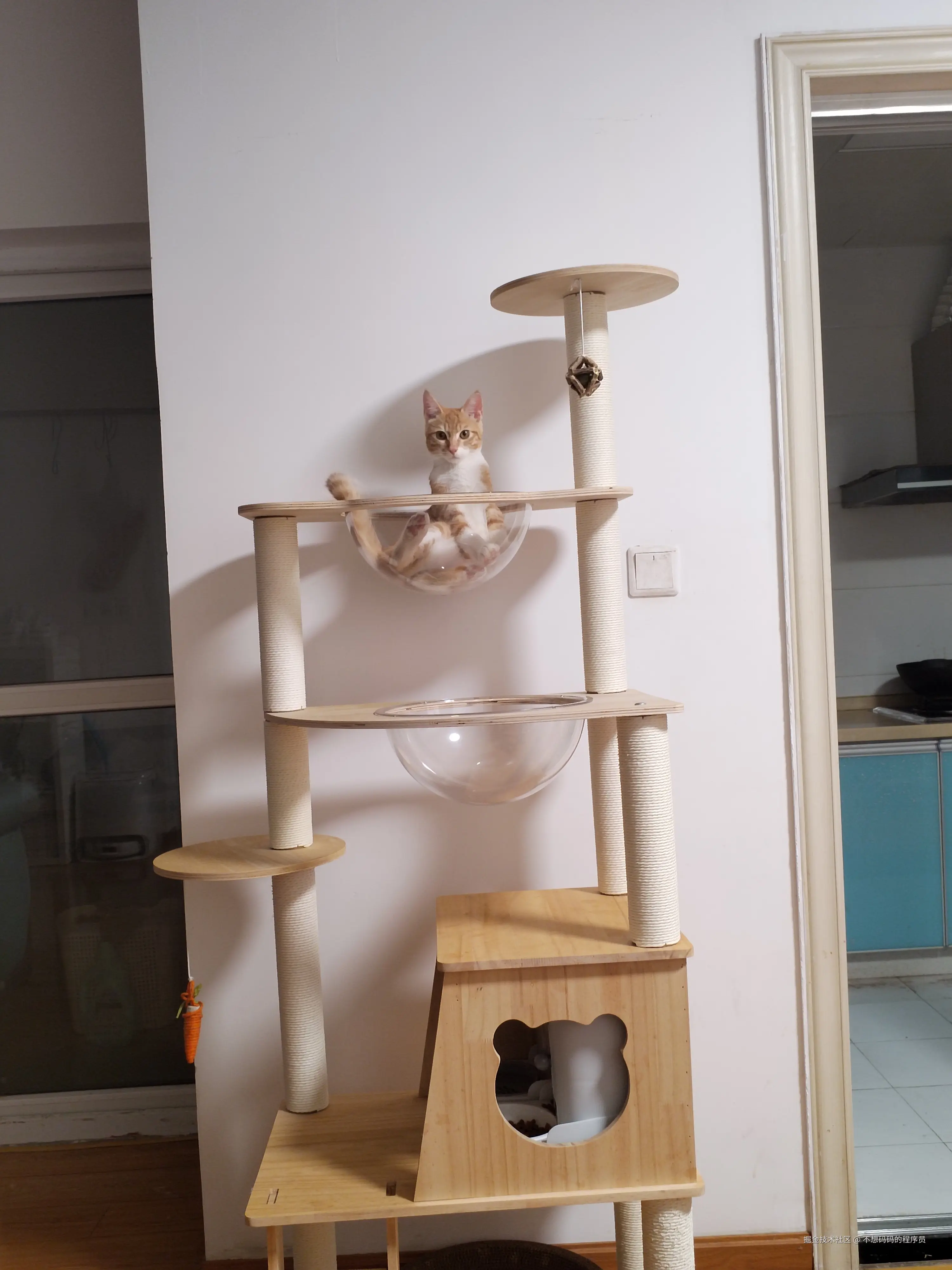 不想码码的程序员于2025-08-12 14:23发布的图片