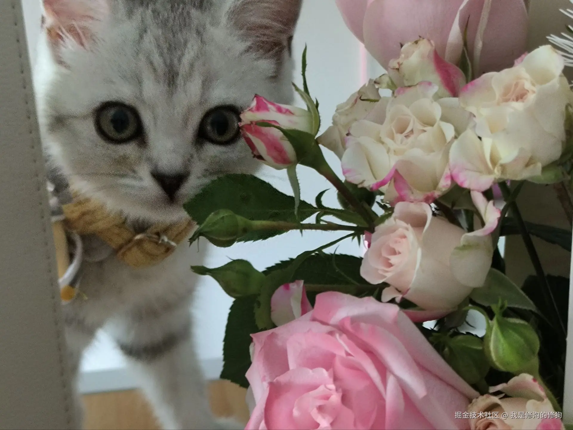 我是修沟的修狗于2025-05-28 13:33发布的图片