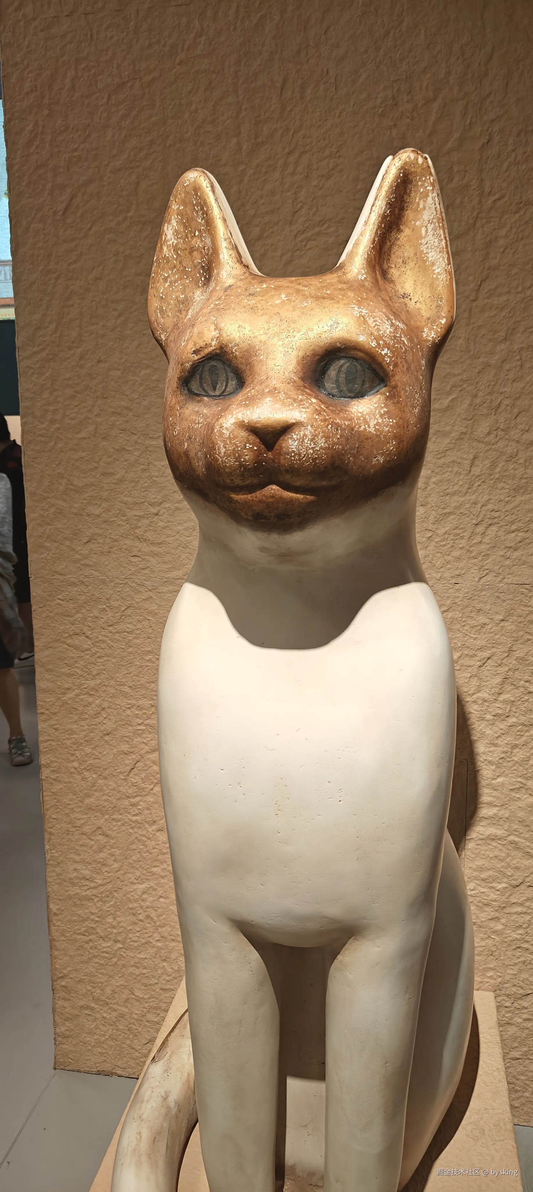 bysking于2024-09-17 10:41发布的图片