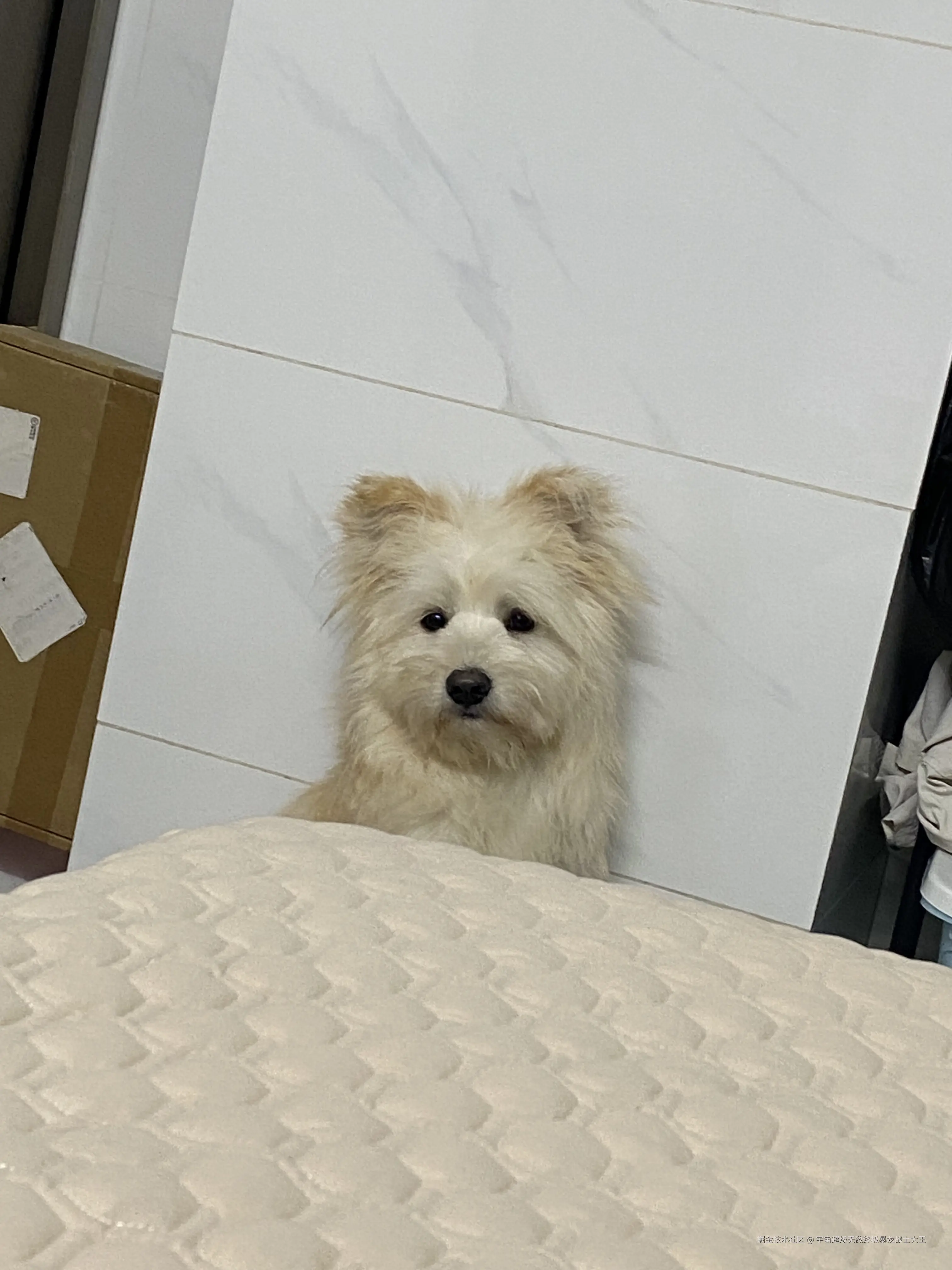 宇宙超级无敌终极暴龙战士大王于2025-02-10 16:39发布的图片