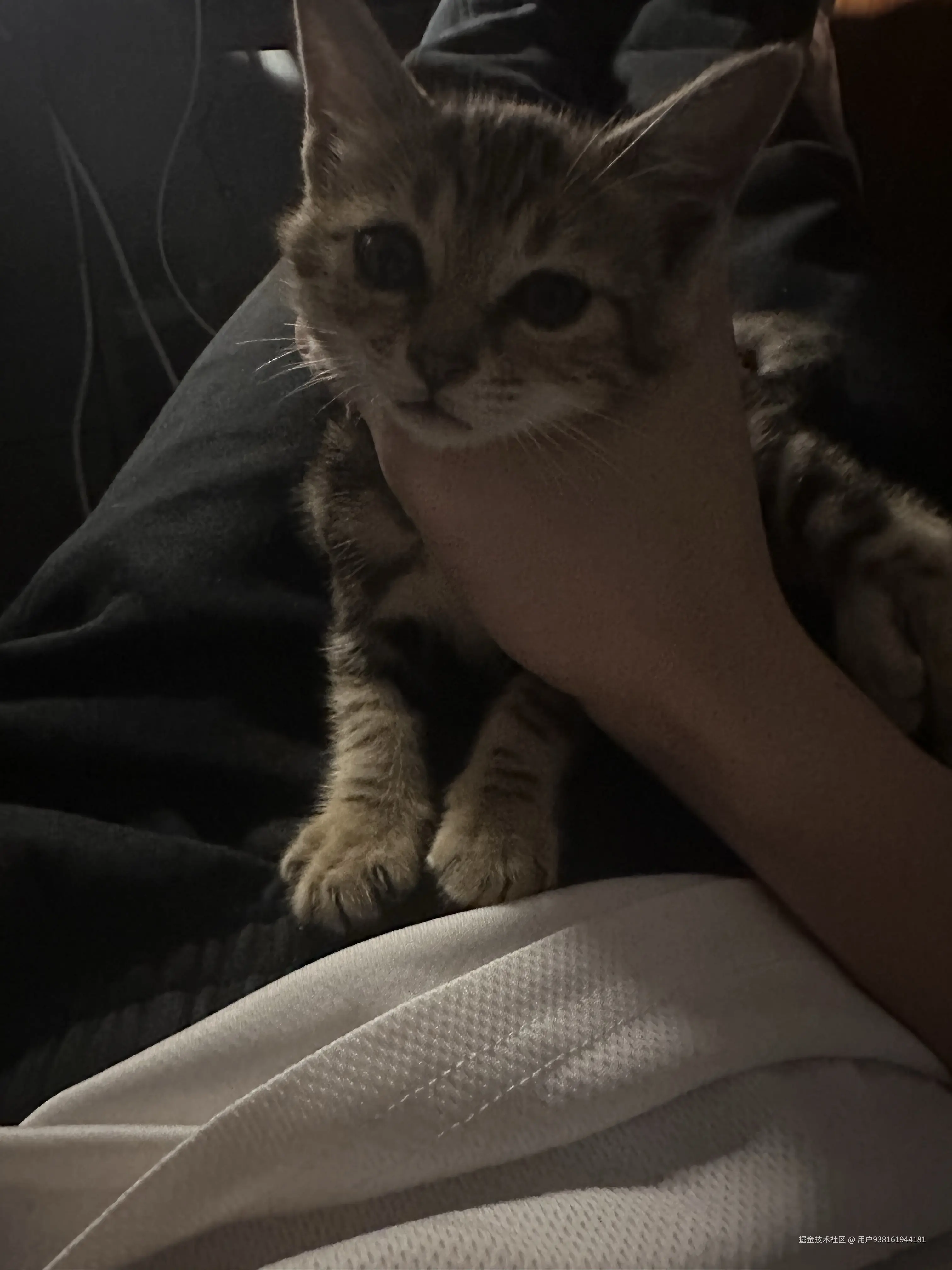 用户938161944181于2026-04-03 11:14发布的图片