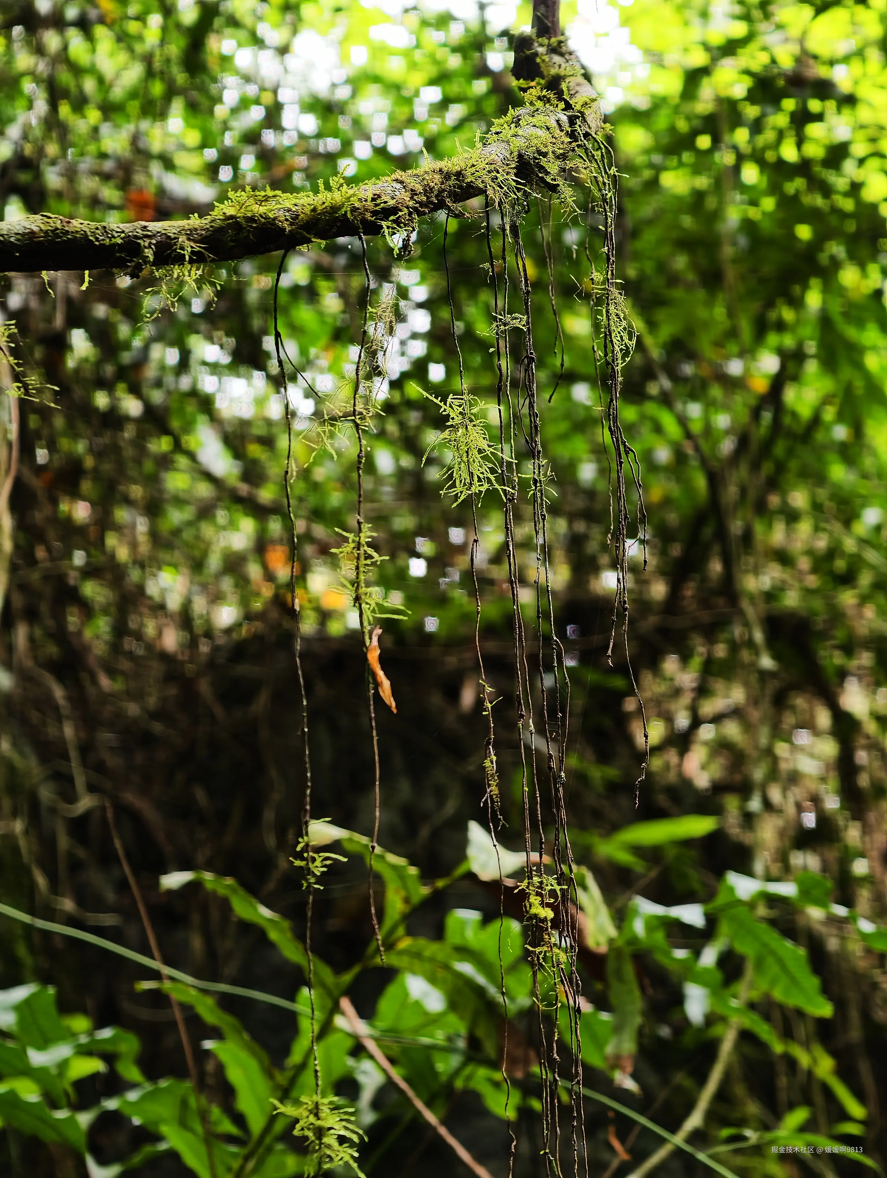 媛媛啊9813于2026-03-22 21:52发布的图片