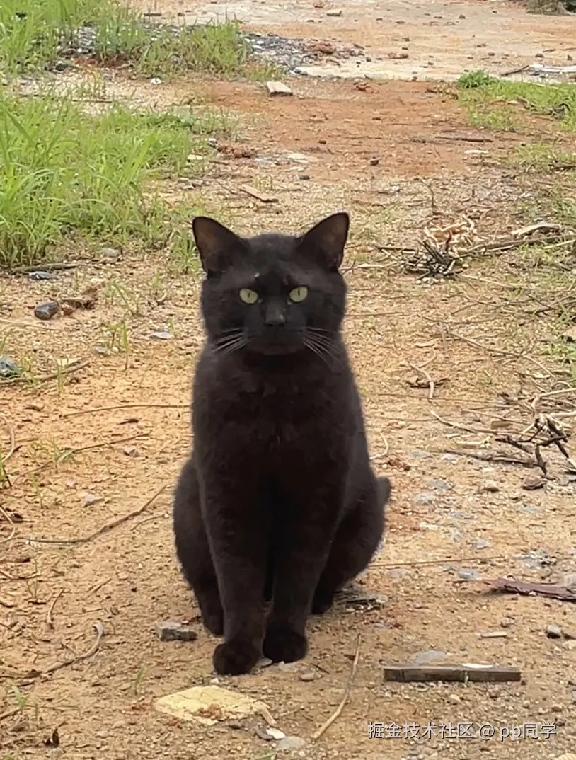 pp同学于2025-05-25 14:44发布的图片