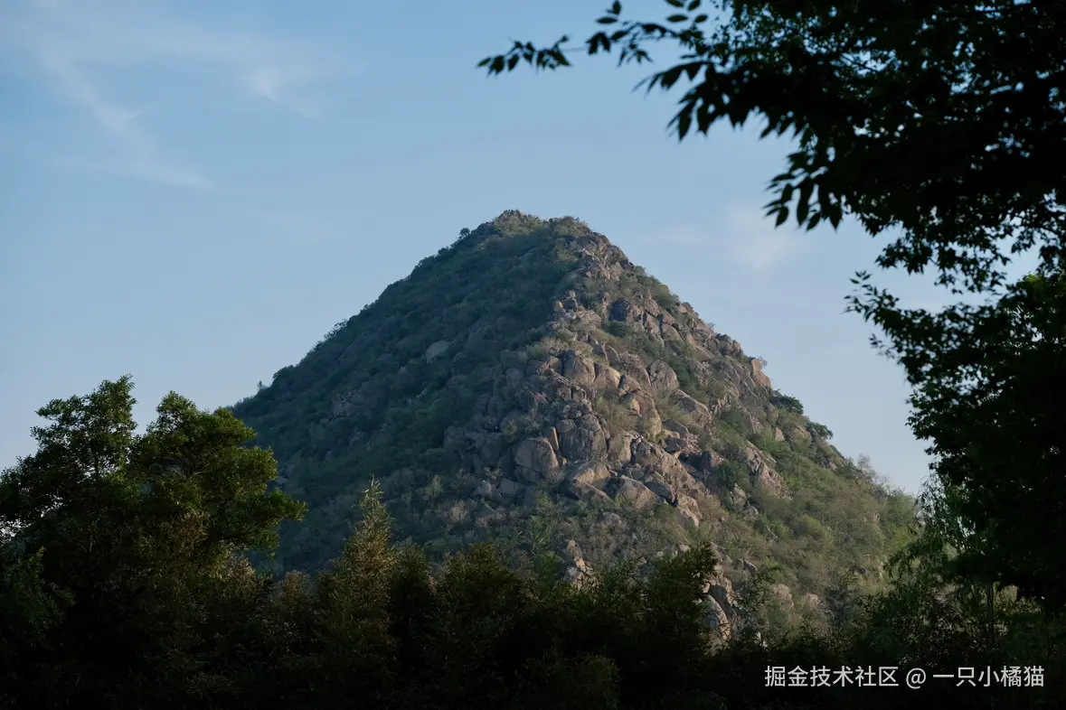 一只小橘猫于2025-04-21 11:16发布的图片