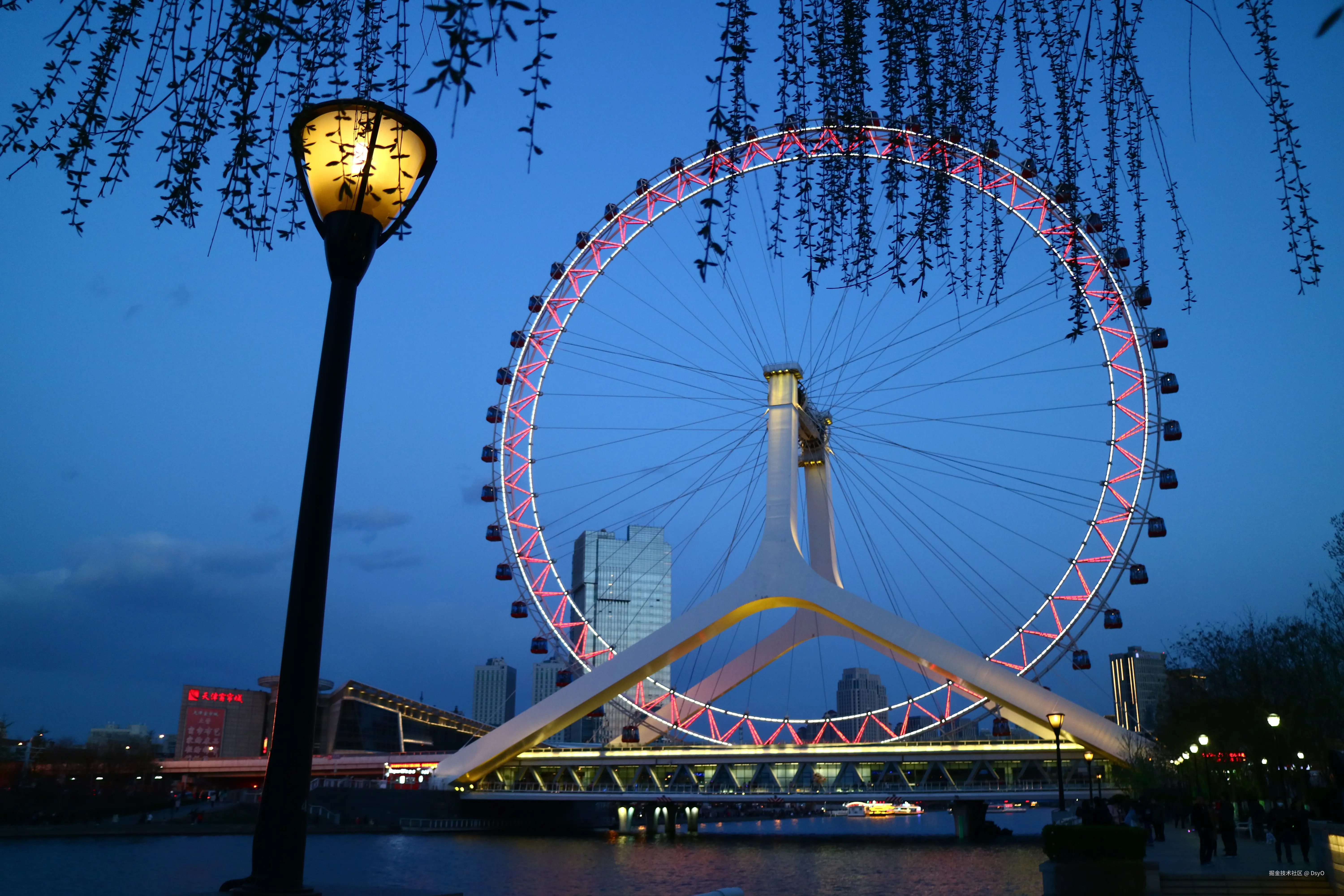 DsyO于2026-02-03 09:25发布的图片