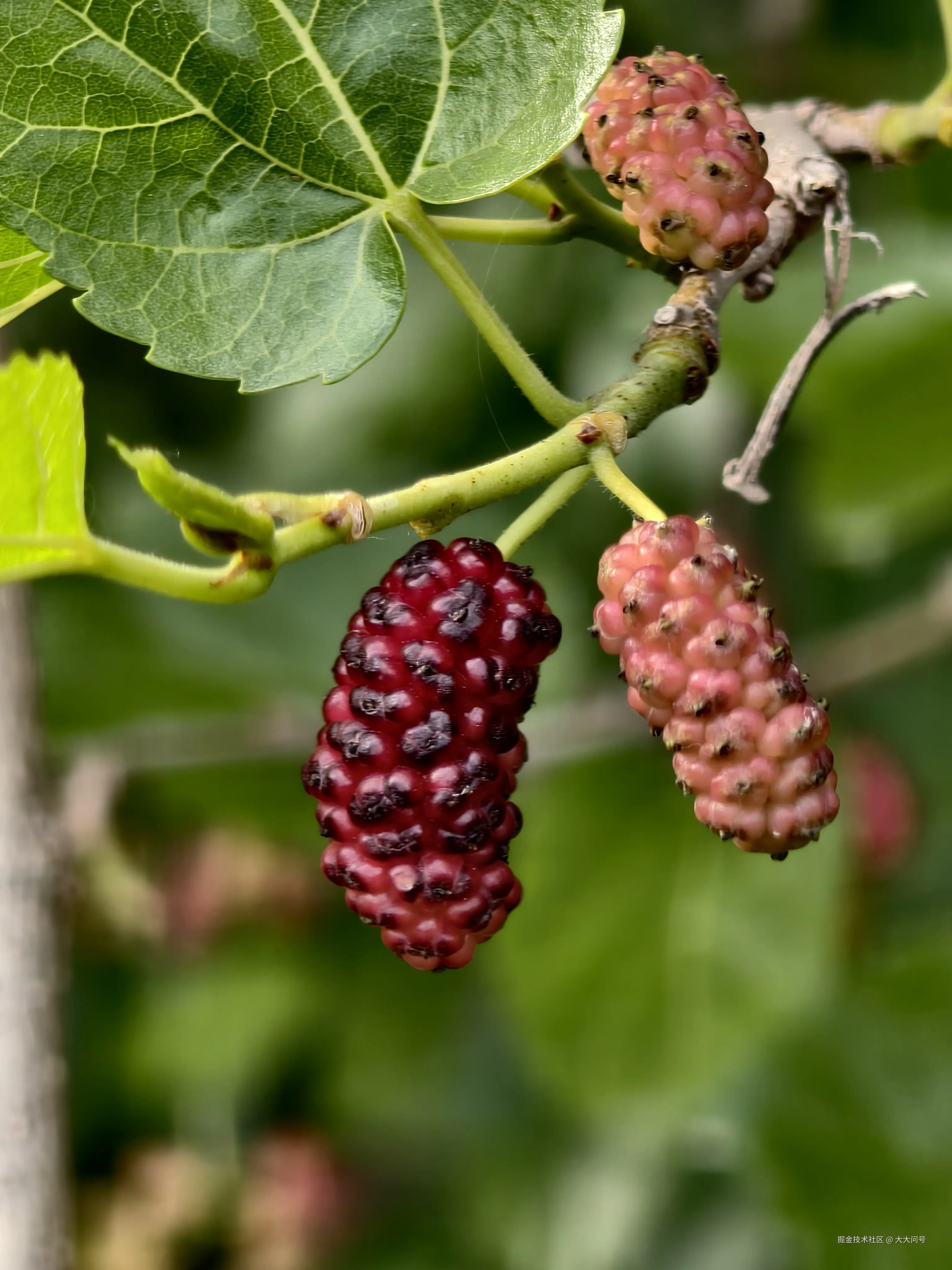 大大问号于2025-05-06 09:01发布的图片